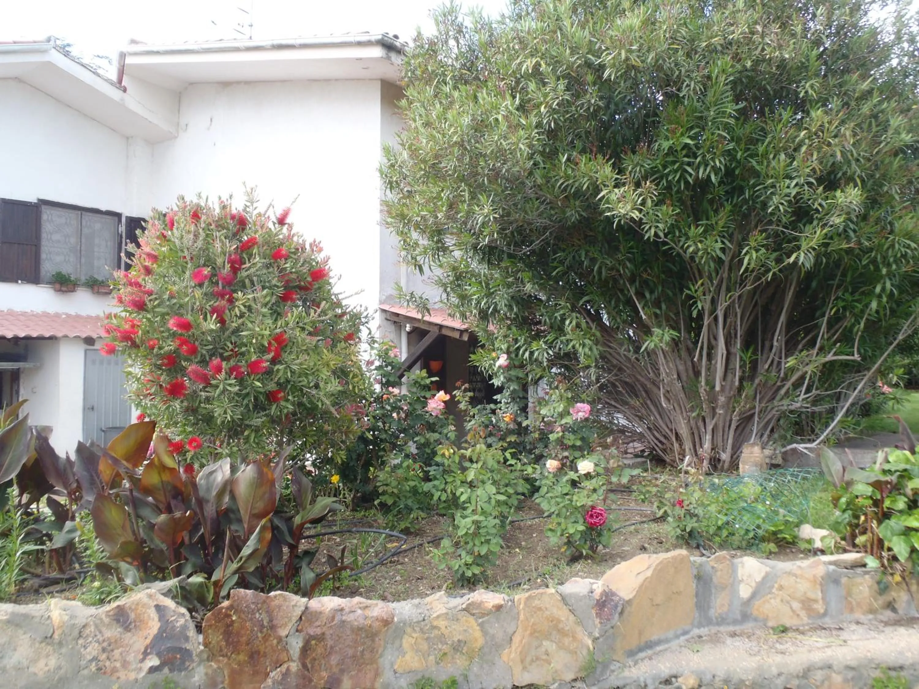 Garden in B&B Villa Sans Souci