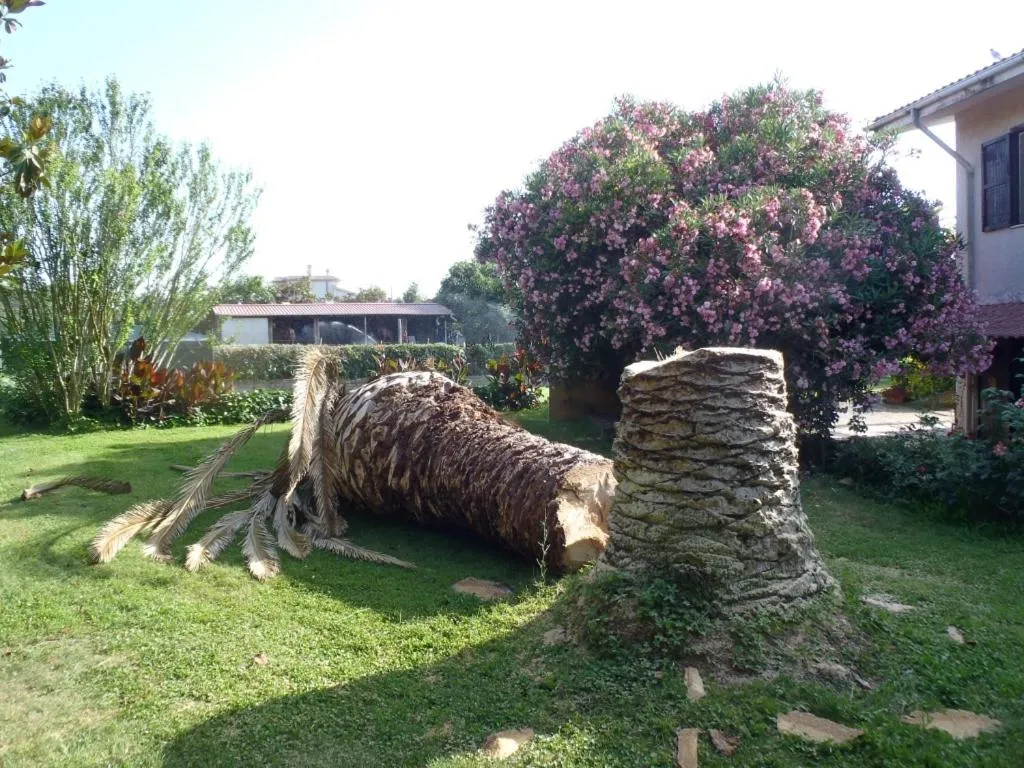 Garden in B&B Villa Sans Souci