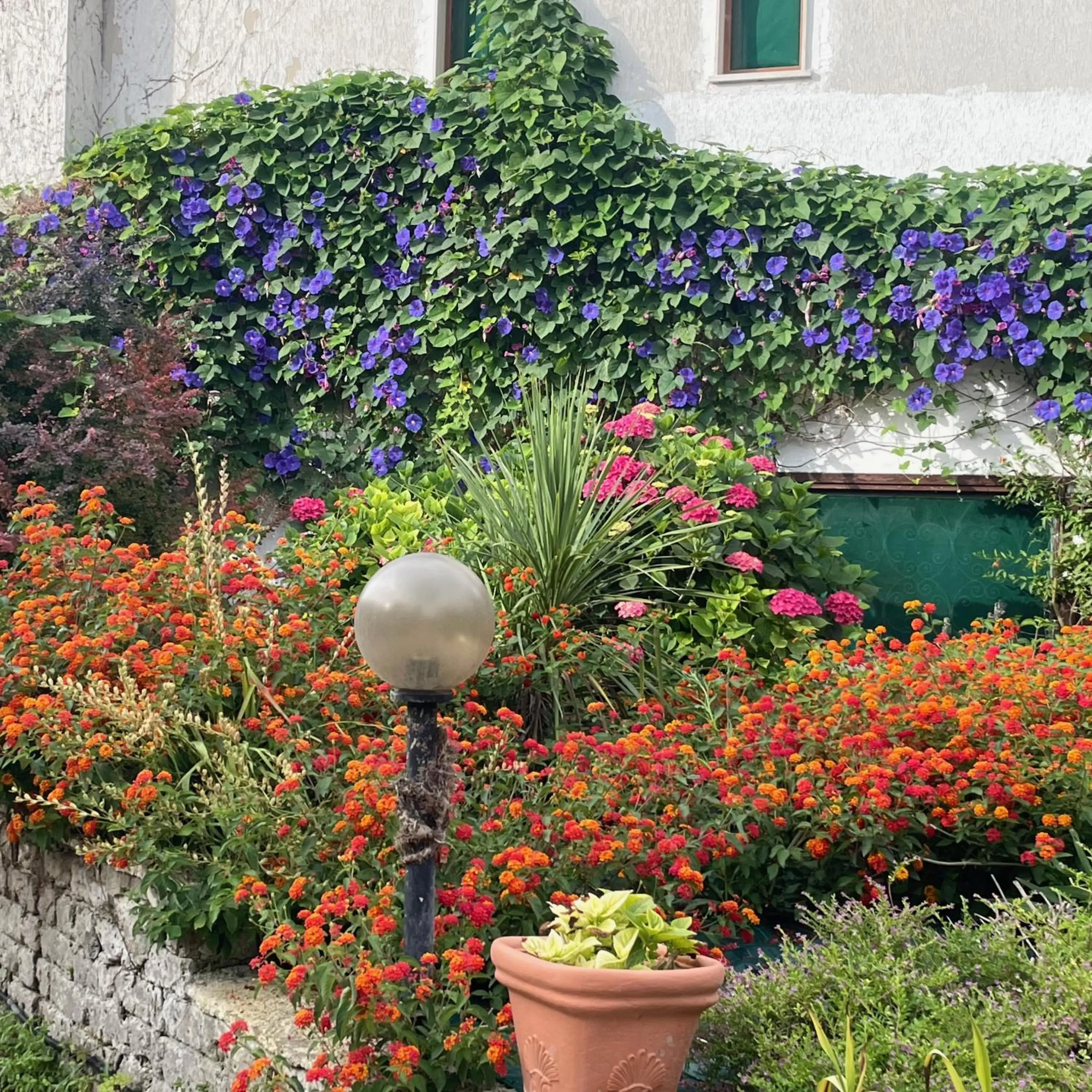 Garden in B&B Villa Sans Souci