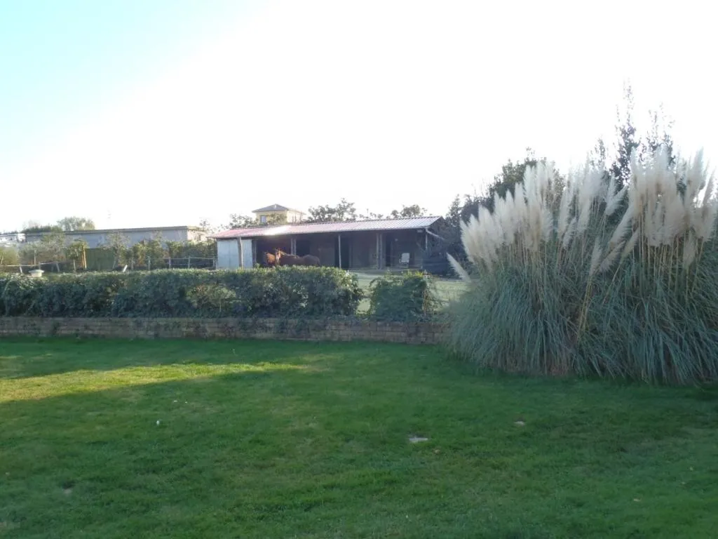 Garden in B&B Villa Sans Souci