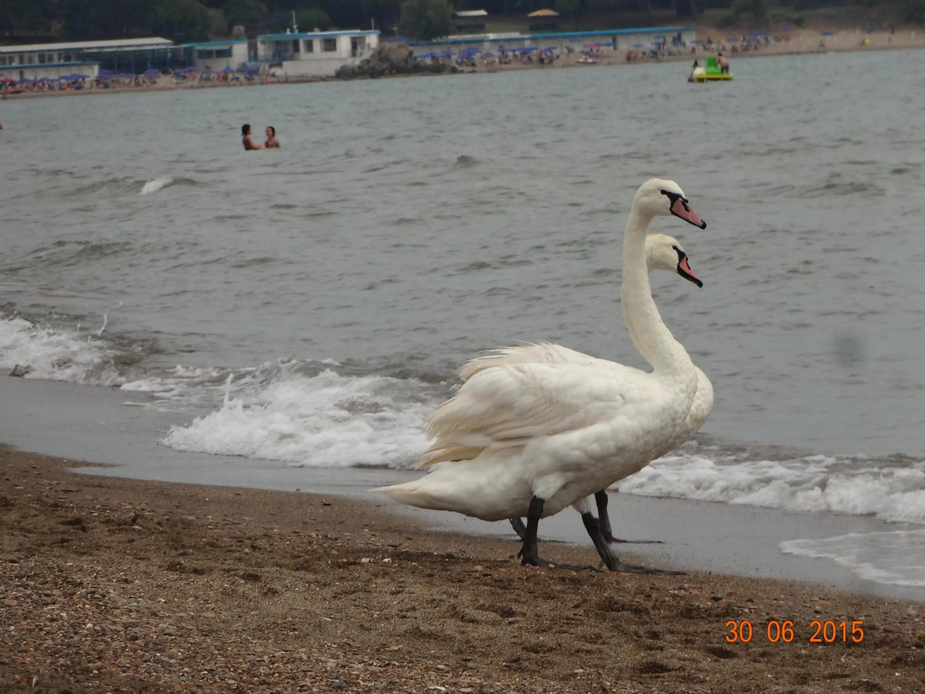 Nearby landmark in B&B Villa Sans Souci