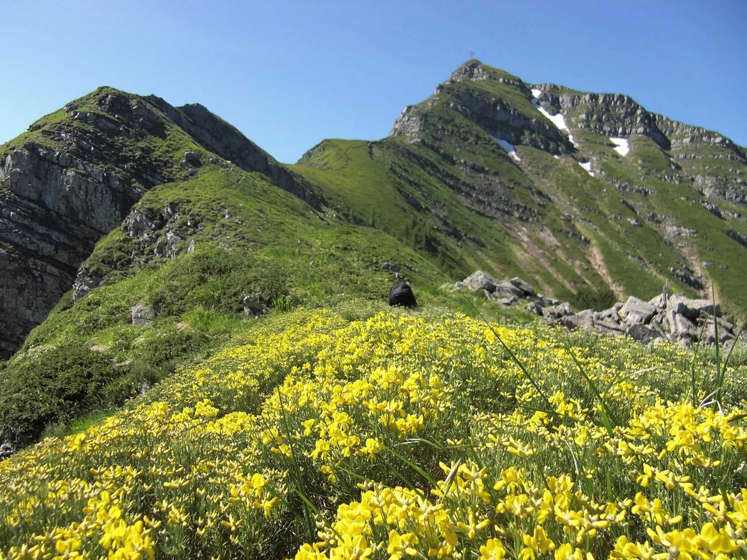 Area and facilities in Piccolo Hotel
