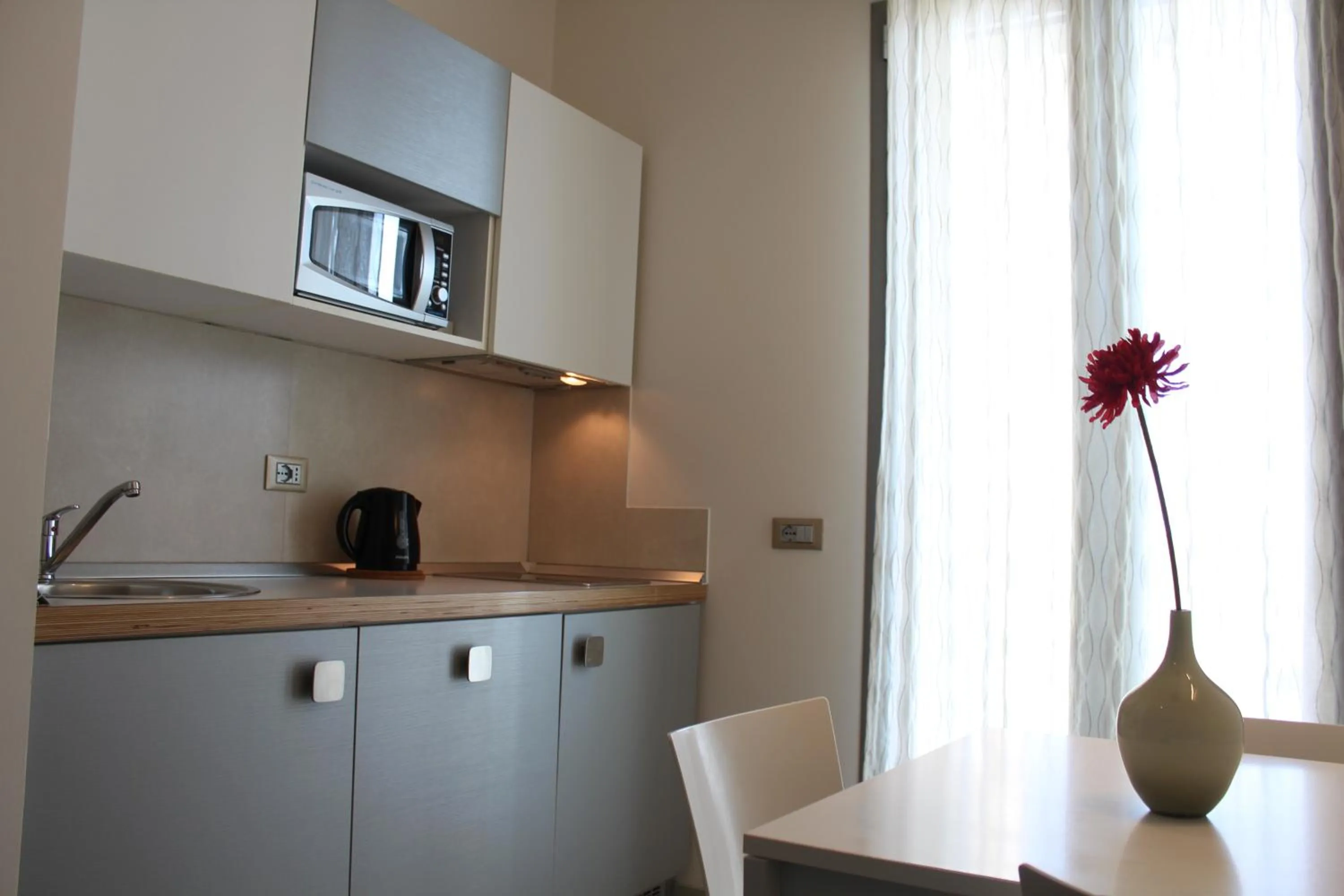 Kitchen or kitchenette in Hotel & Residence Cavalluccio Marino