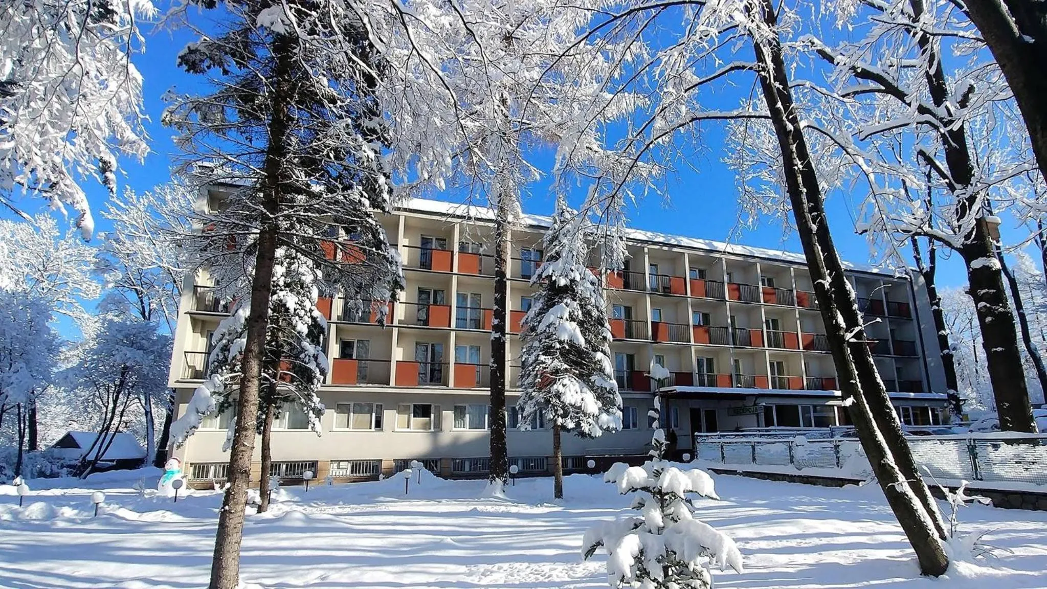 Winter in Halny Pensjonat