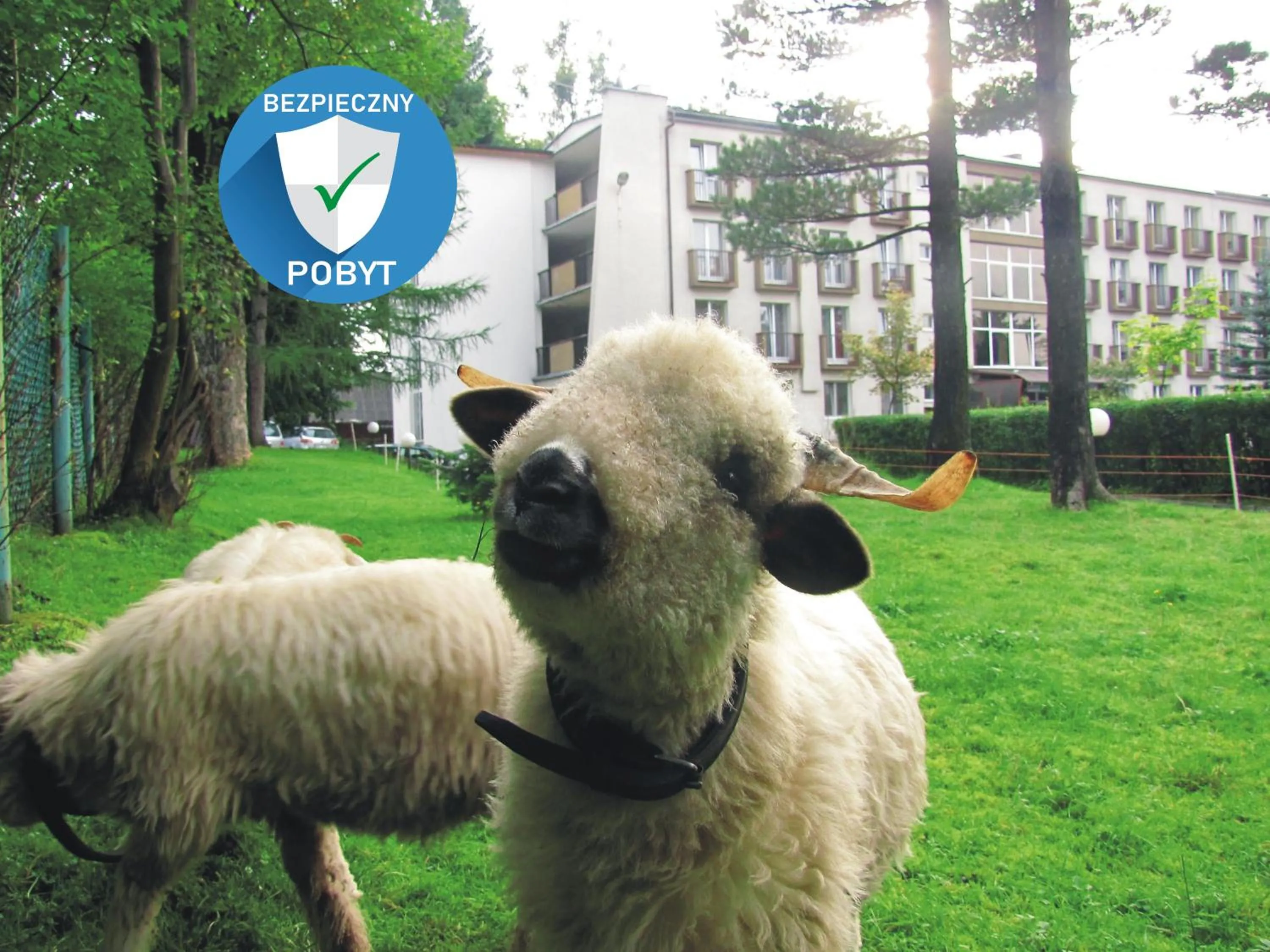 Spring in Halny Pensjonat