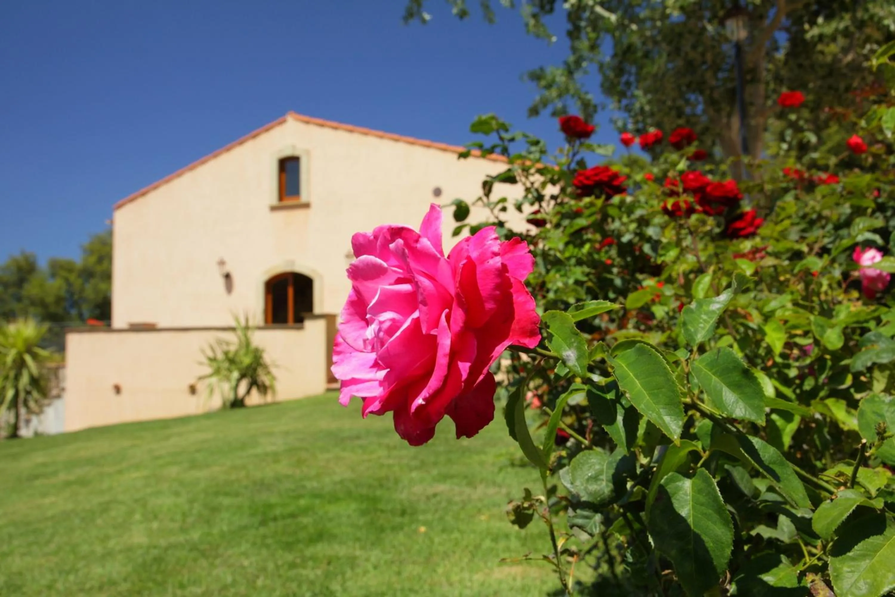 Garden in B&B Le Ginestre