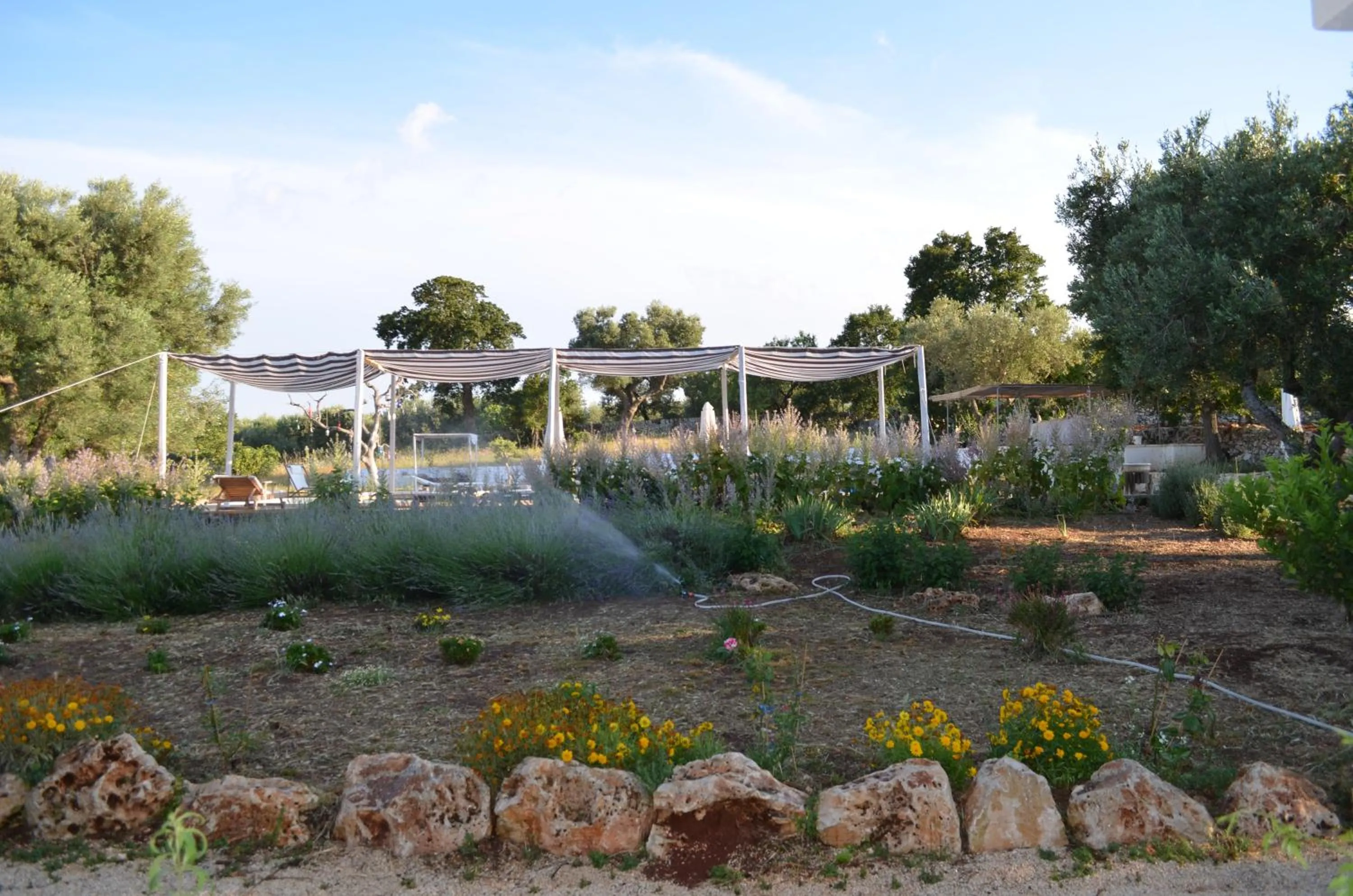 Garden in I Trulli Di Acquarossa
