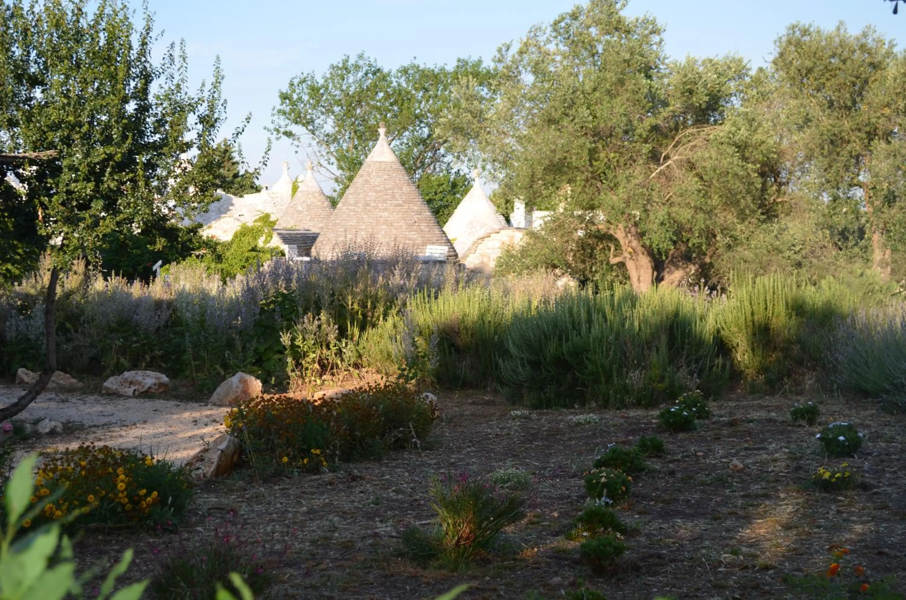 Garden in I Trulli Di Acquarossa