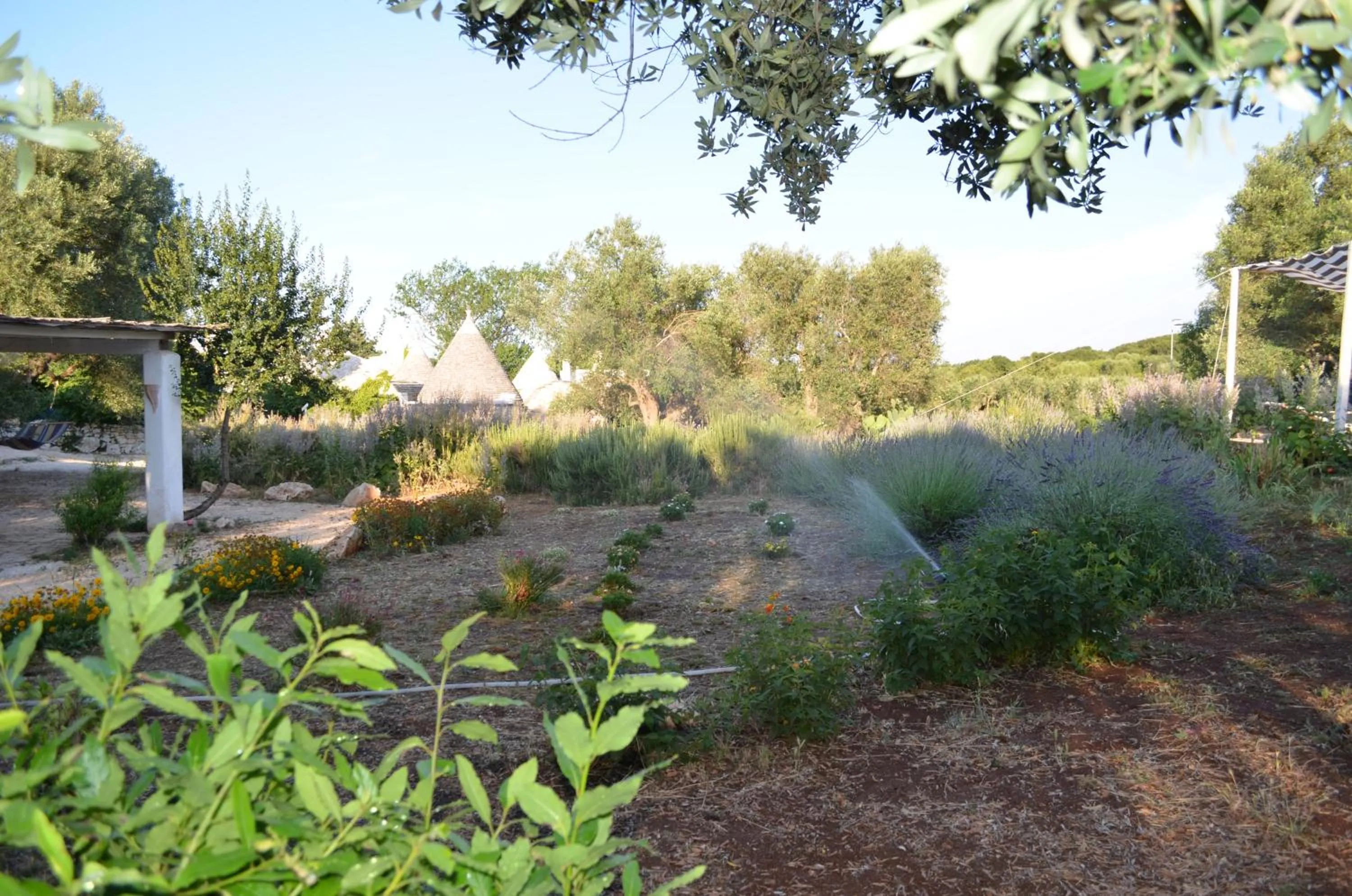 Garden in I Trulli Di Acquarossa
