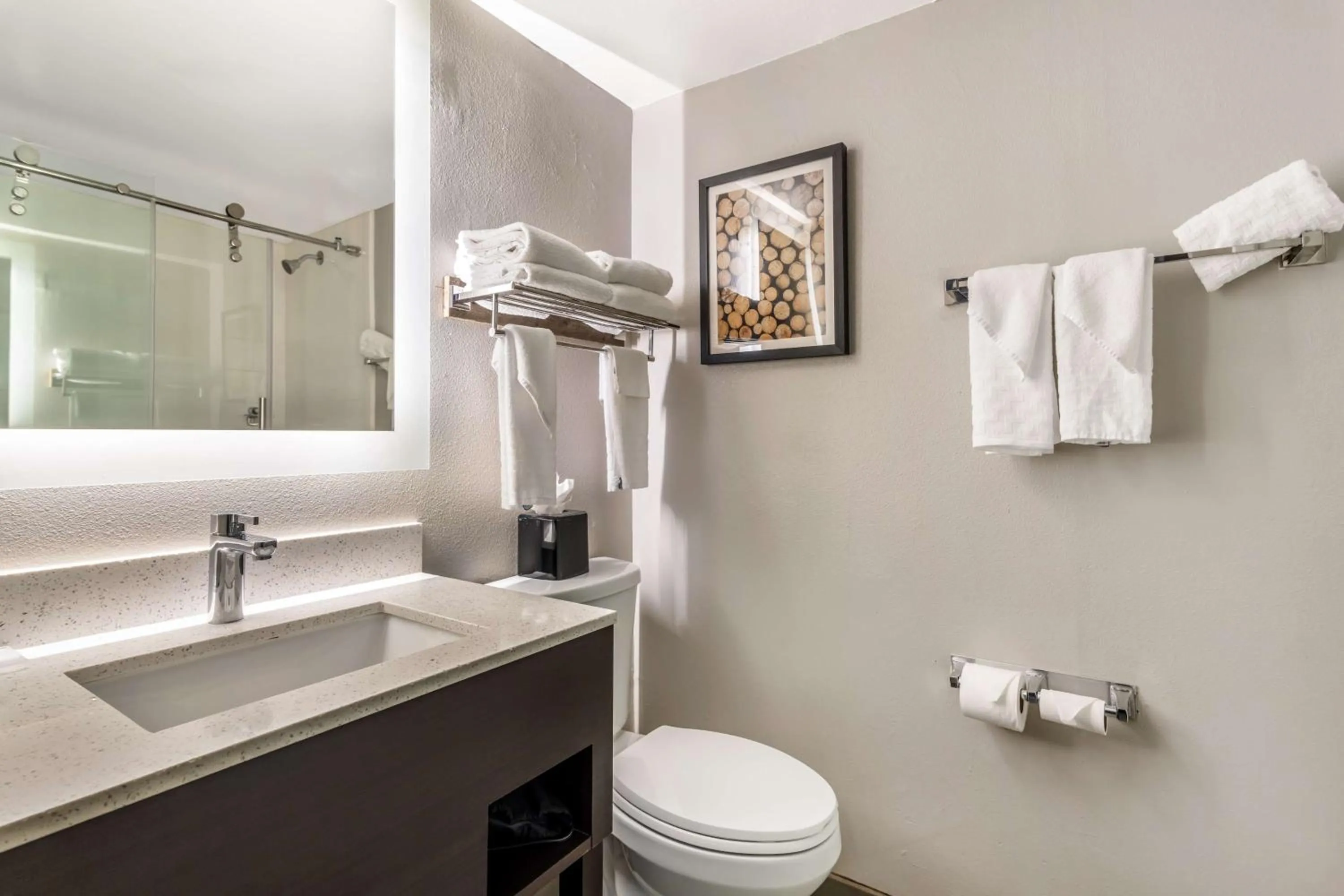 Bathroom in Best Western Atlanta-Marietta Ballpark Hotel