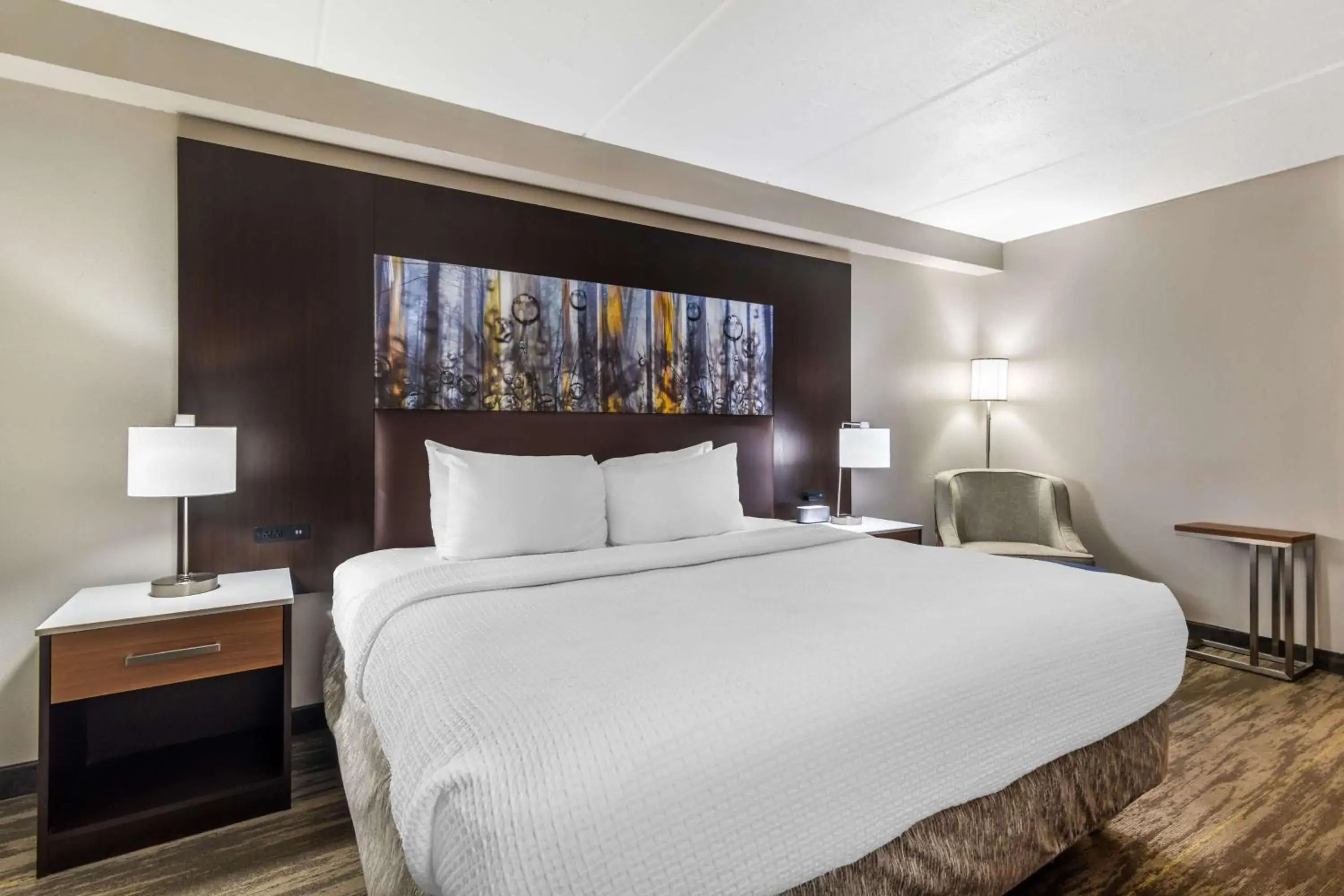 Bedroom, Bed in Best Western Atlanta-Marietta Ballpark Hotel Bedroom, Bed in Best Western Atlanta-Marietta Ballpark Hotel