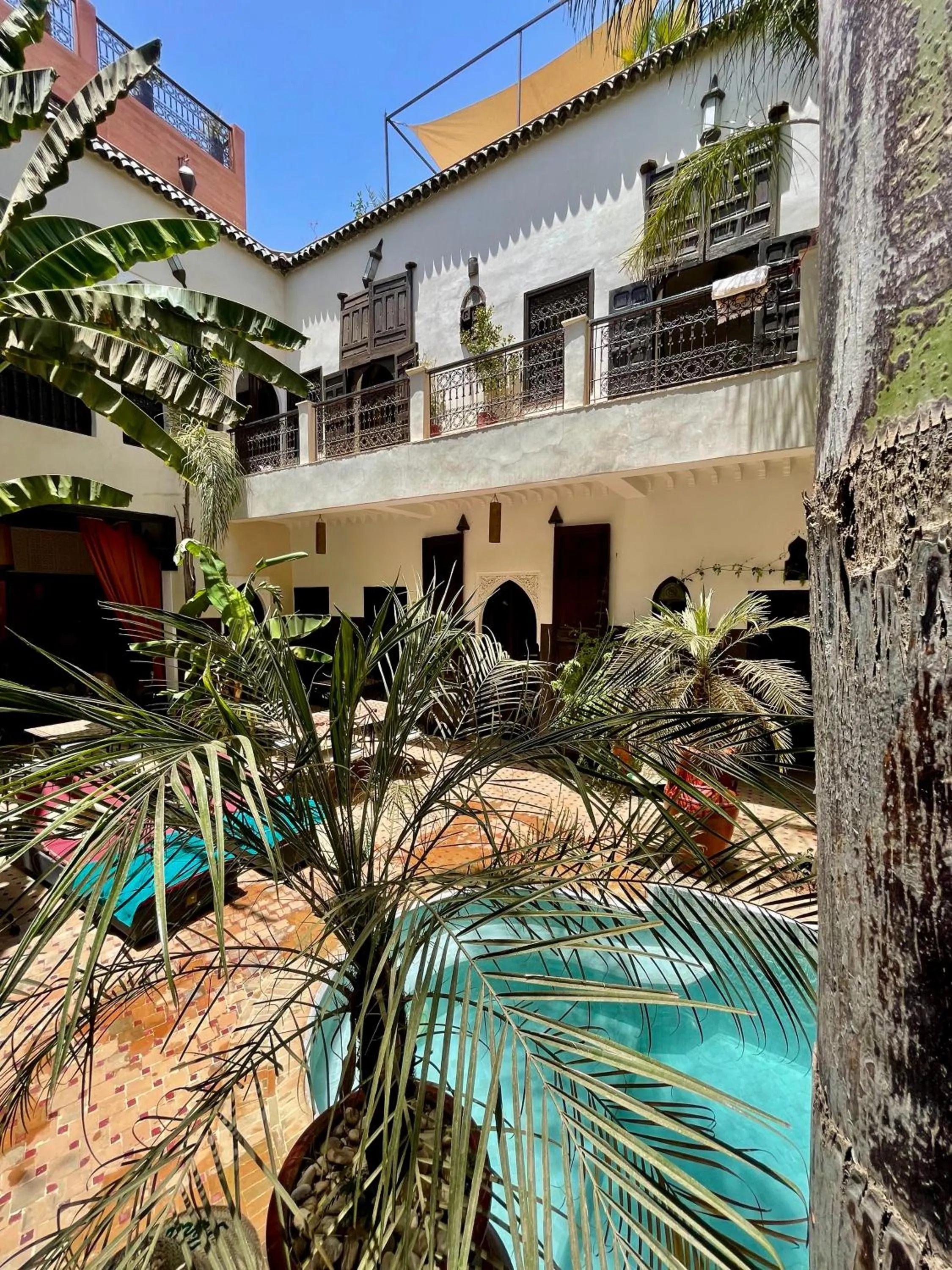 Swimming pool in Riad Pachavana