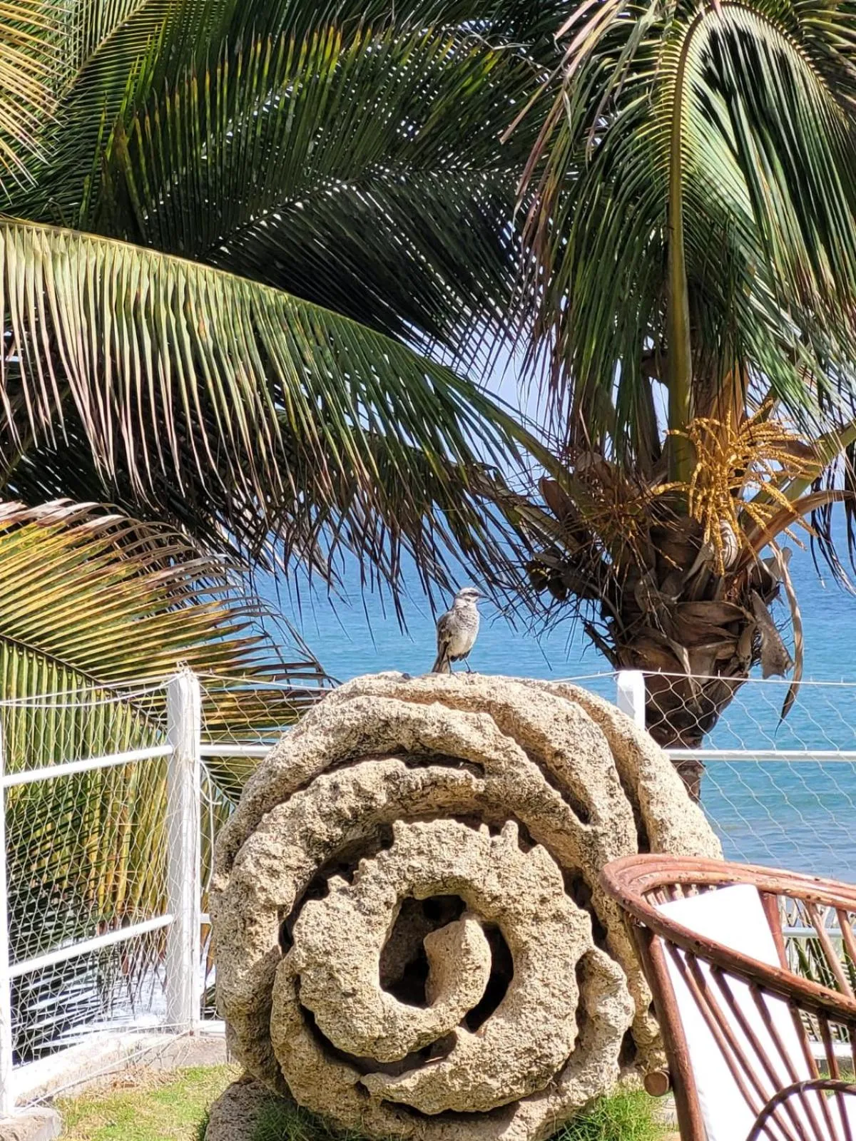 Property building in Sunset Mancora