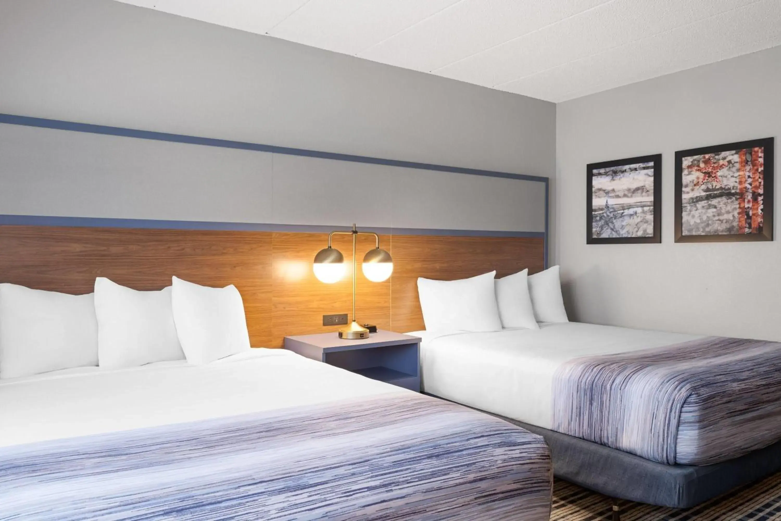 Photo of the whole room, Bed in AmericInn by Wyndham Alexandria Photo of the whole room, Bed in AmericInn by Wyndham Alexandria