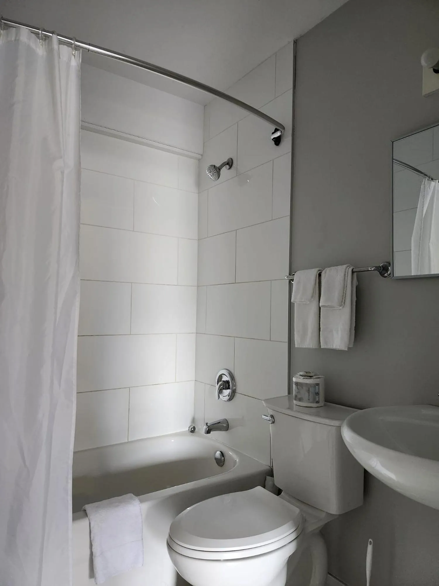 Toilet in Paradise Motel