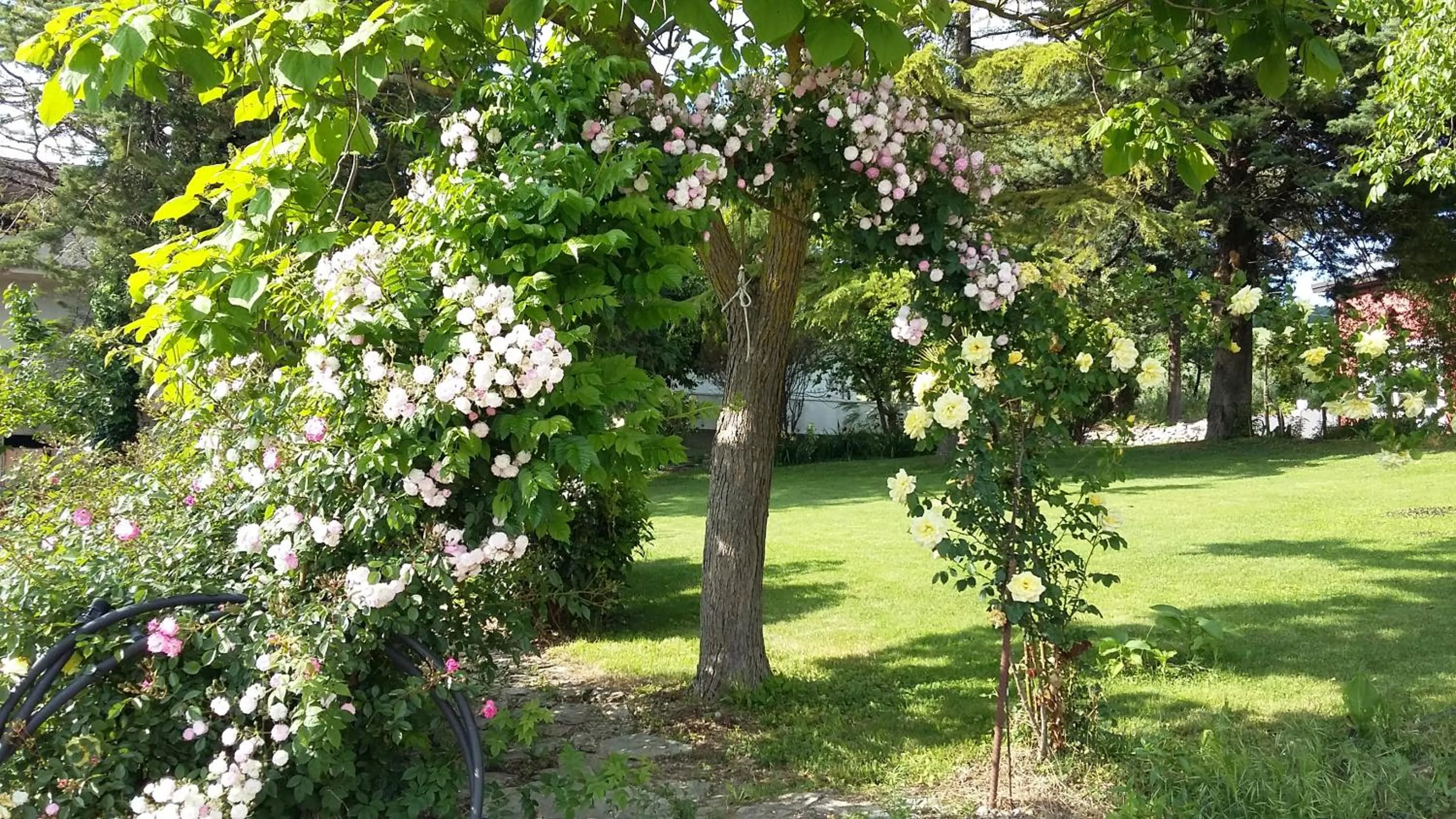 Property building in B&B Casa di Laura