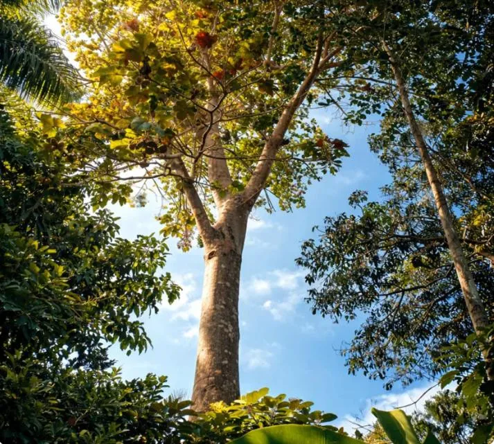 Hiking in Albrook Inn