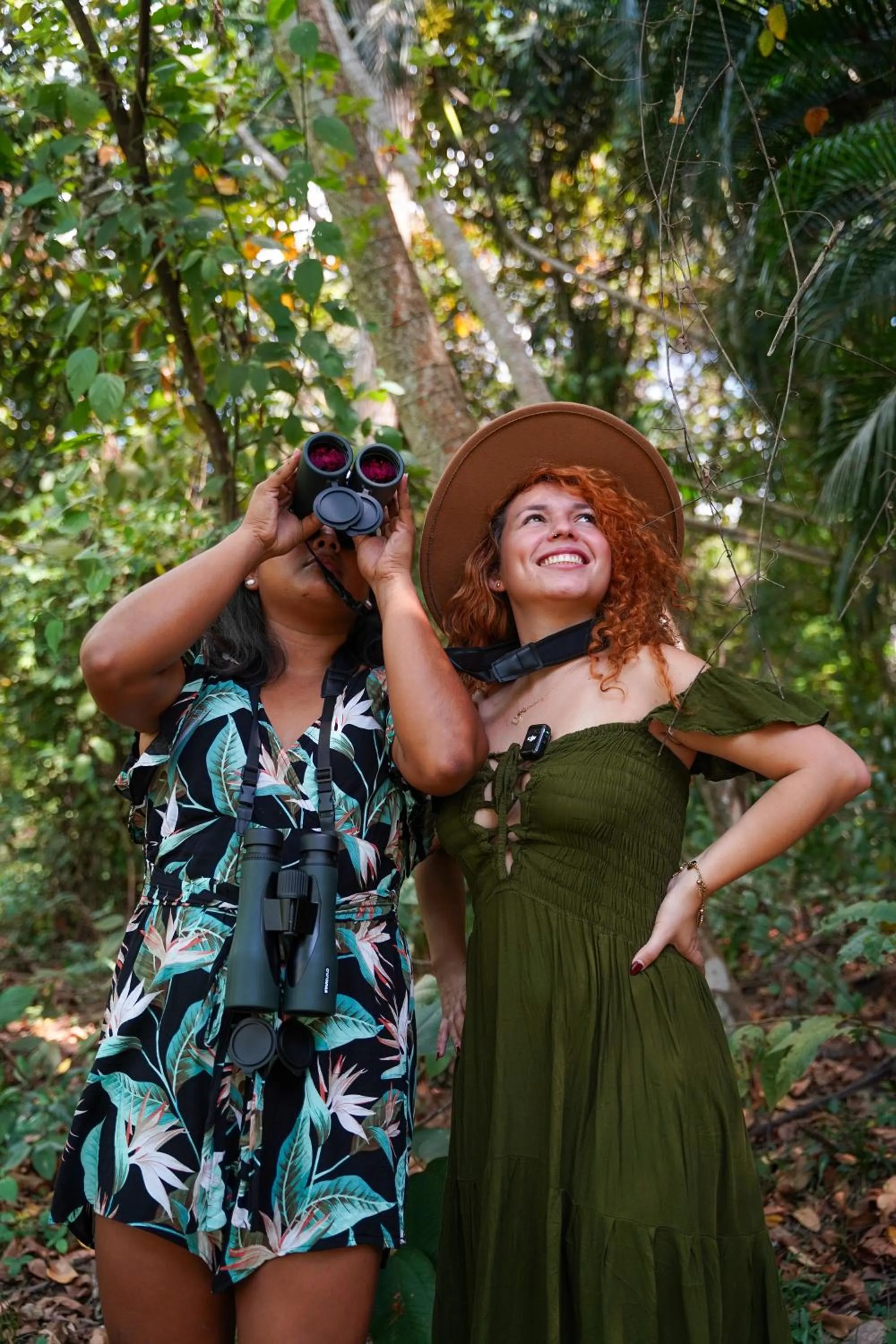 Garden view in Albrook Inn