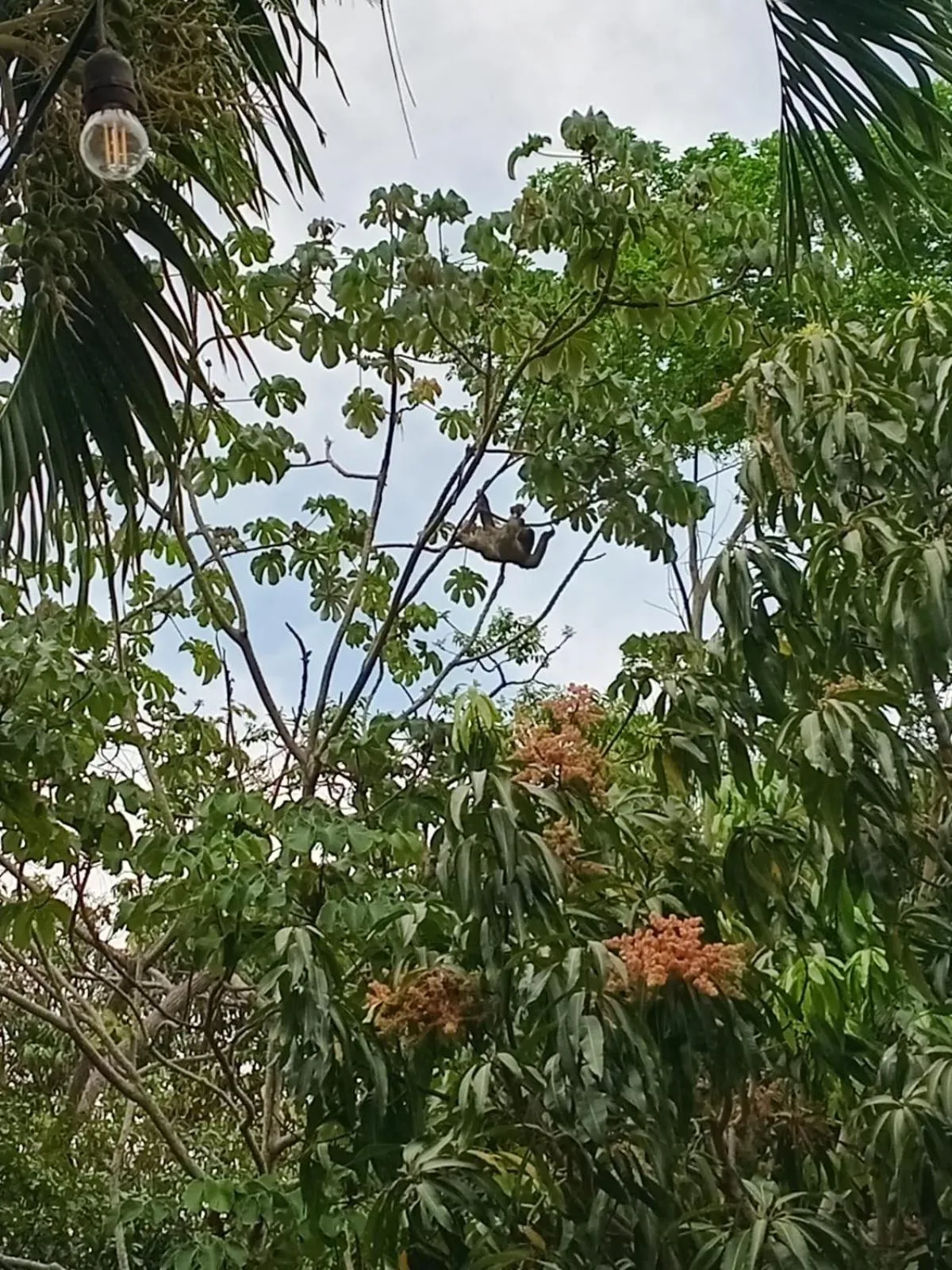 Hiking in Albrook Inn