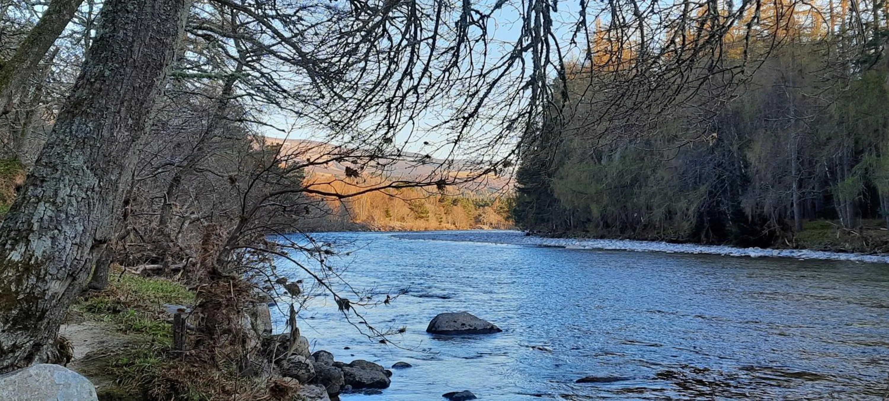 Natural landscape in No 45, Ballater