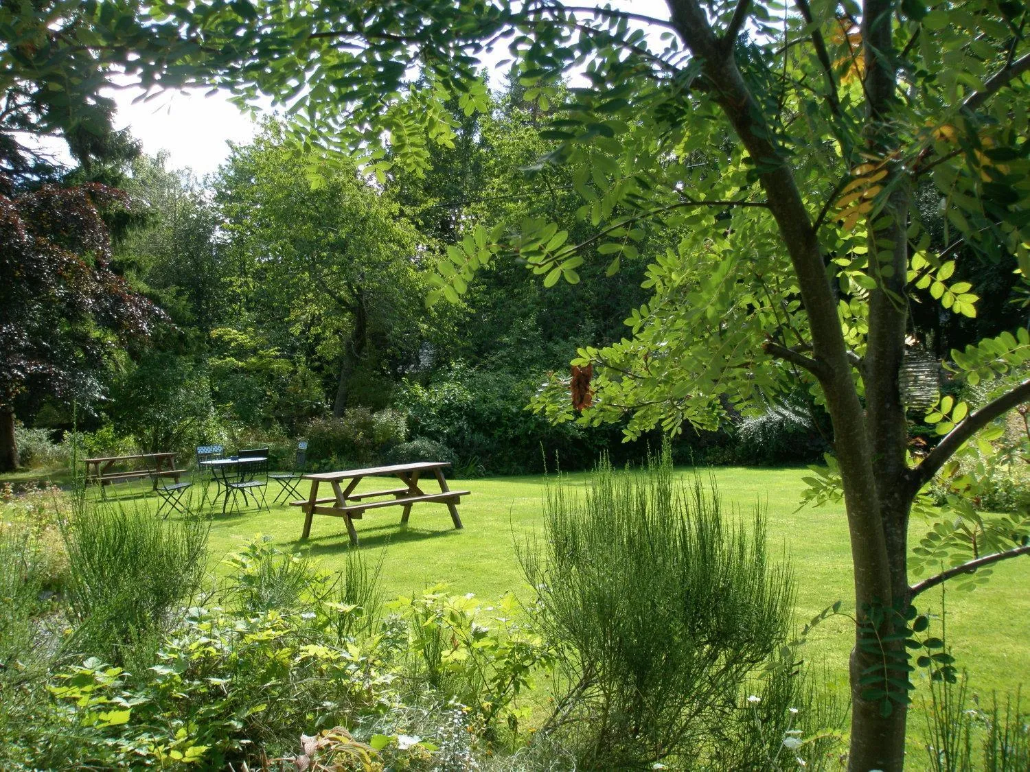 Garden in No 45, Ballater
