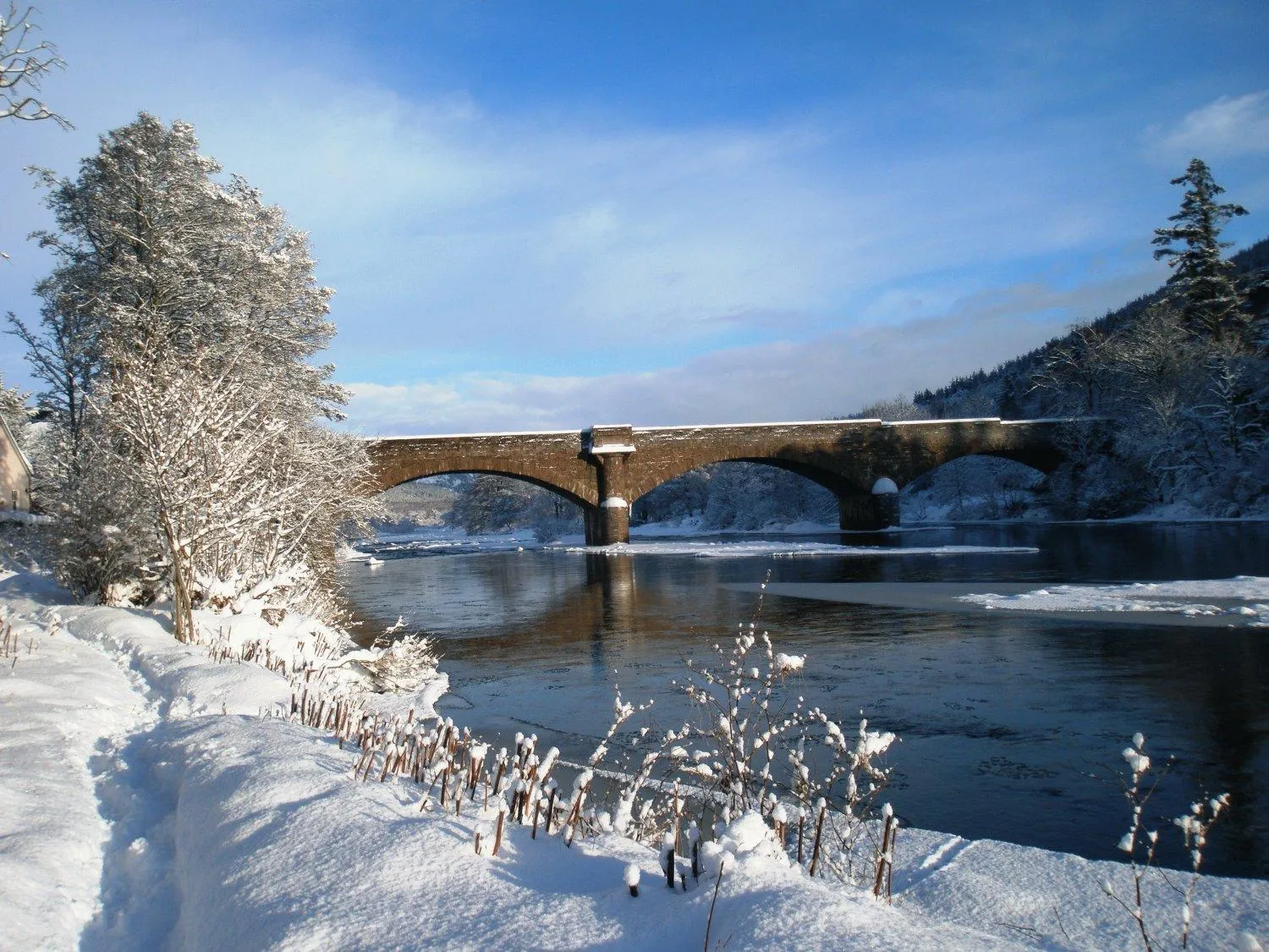 Natural landscape in No 45, Ballater