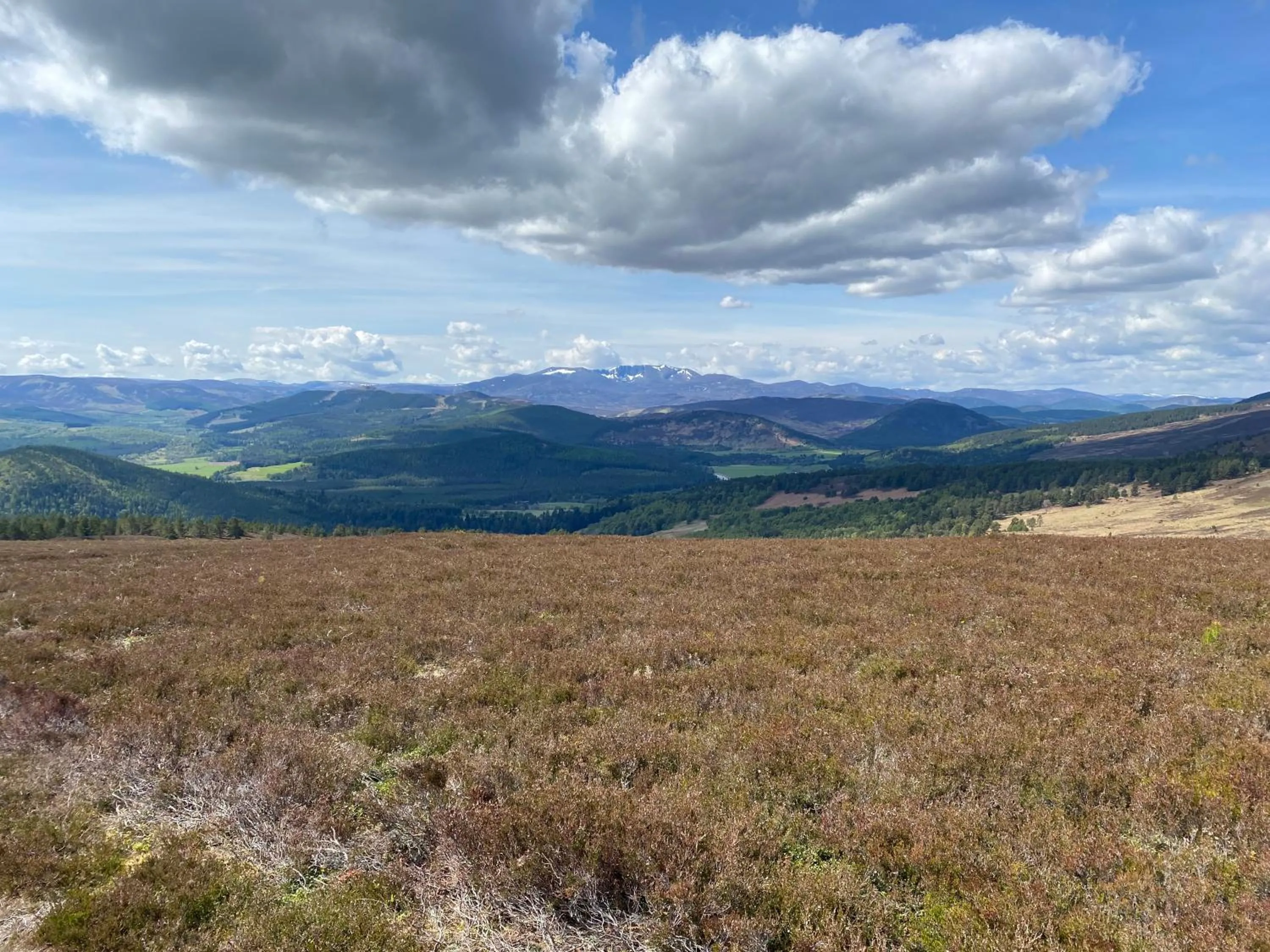 Natural landscape in No 45, Ballater