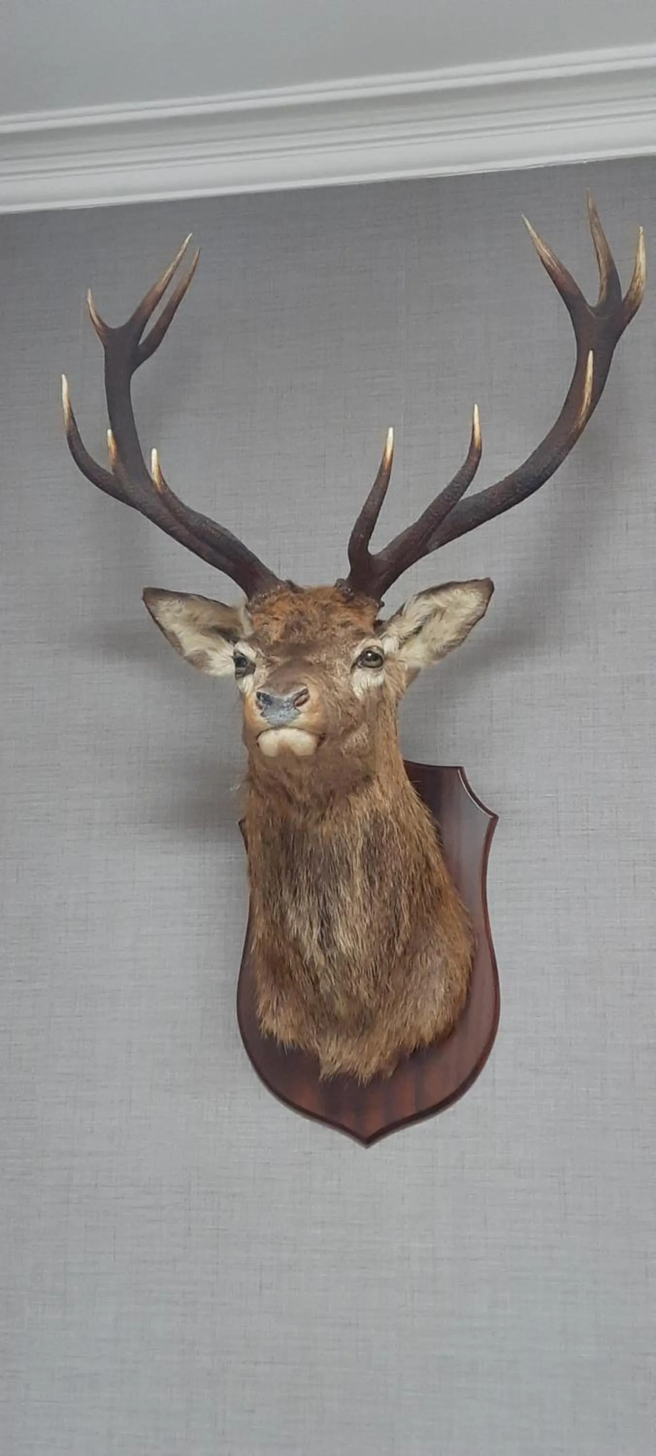 Decorative detail in No 45, Ballater
