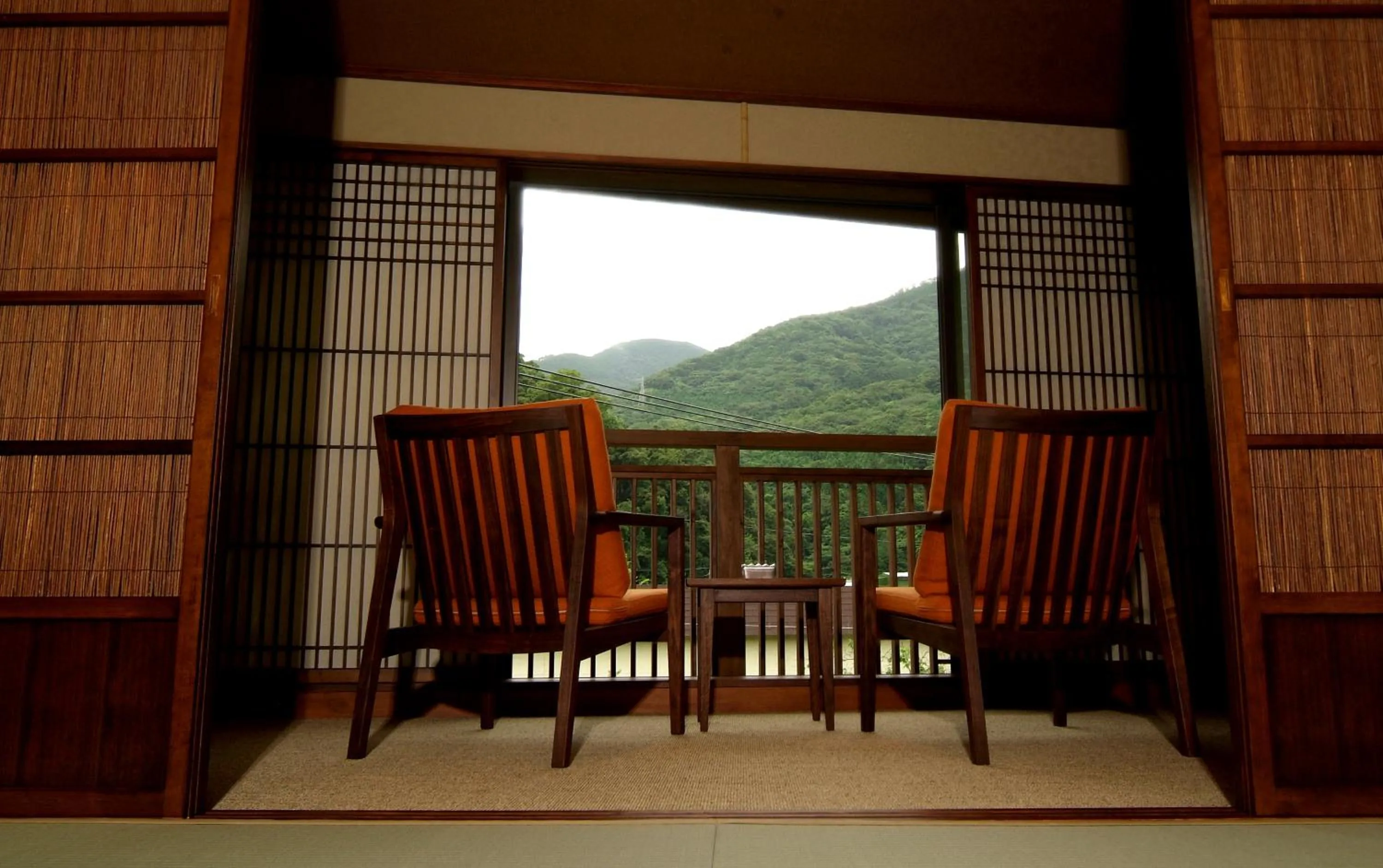 Mountain view in Hakone Onsen Ryokan Yaeikan