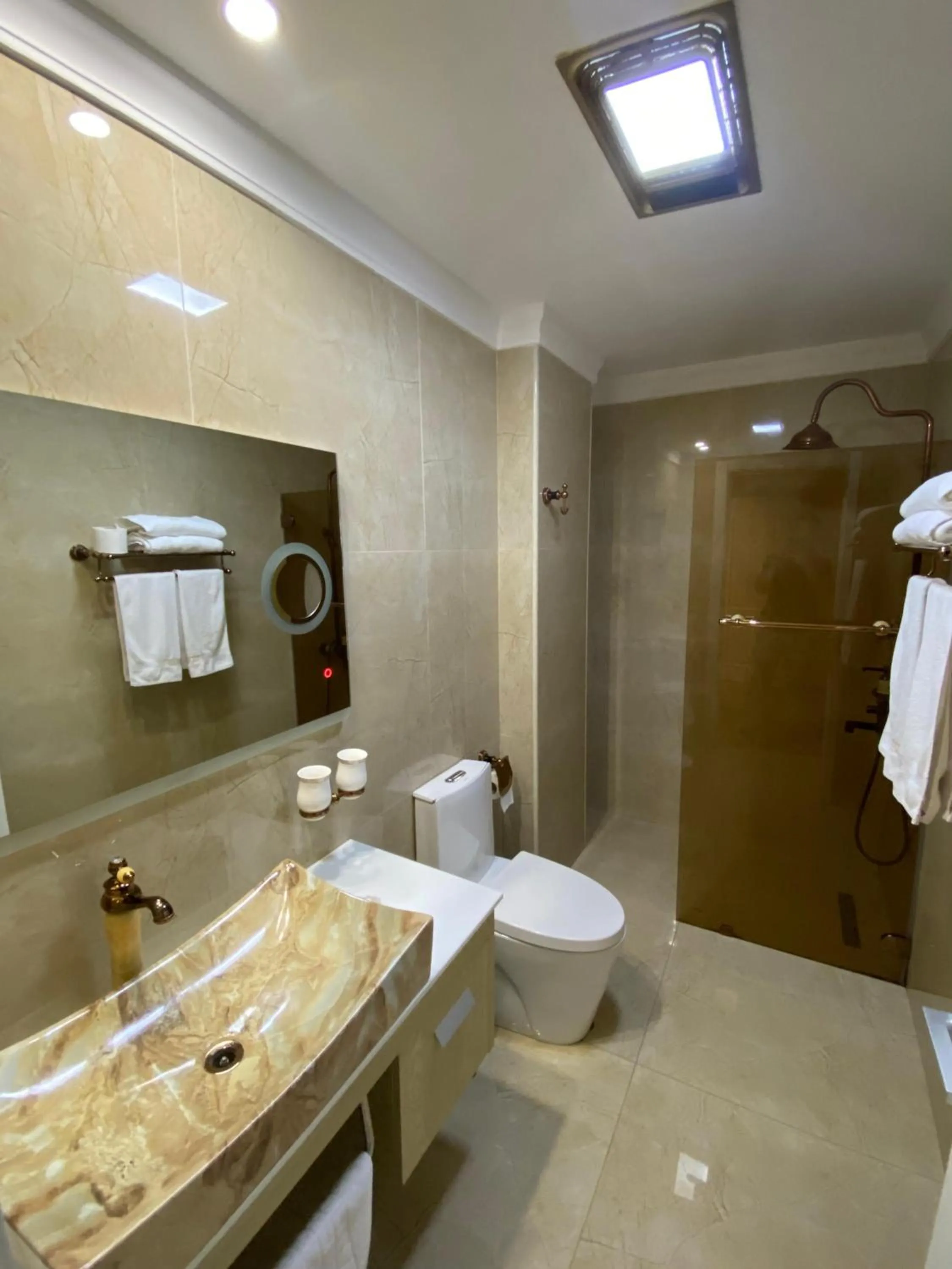 Toilet in Hotel Brais