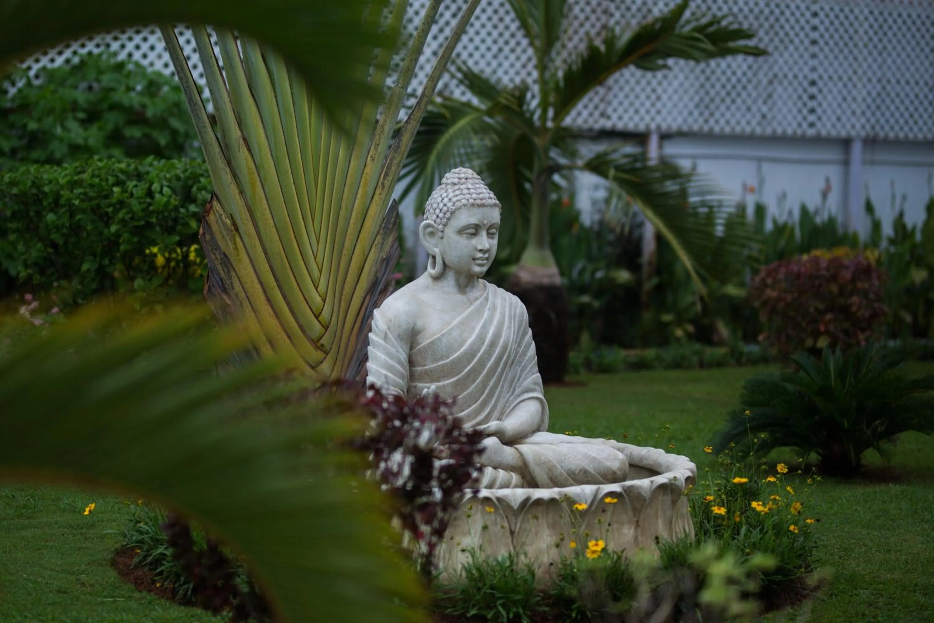 Garden in Hotel TSG Grand