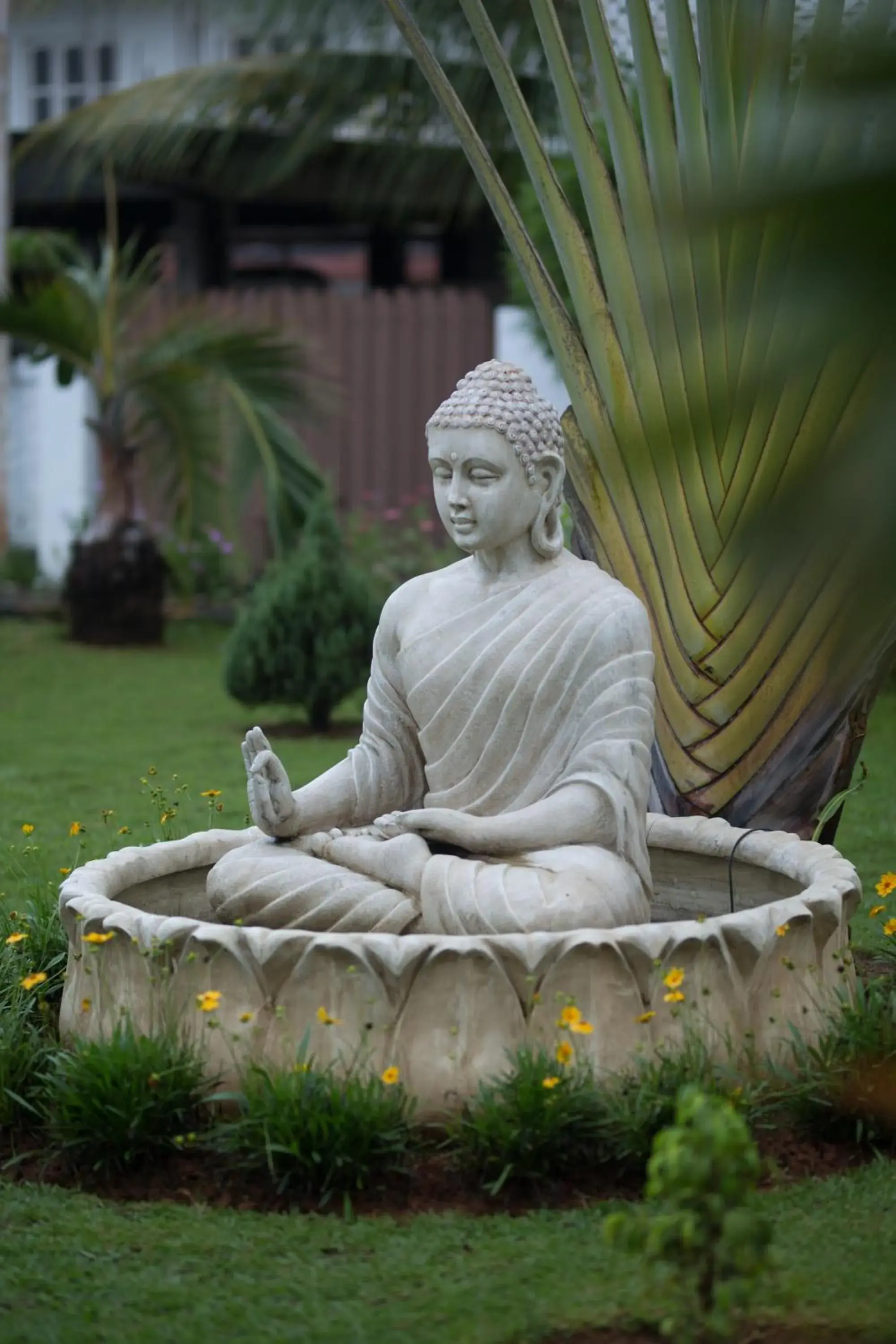 Garden view in Hotel TSG Grand Garden view in Hotel TSG Grand