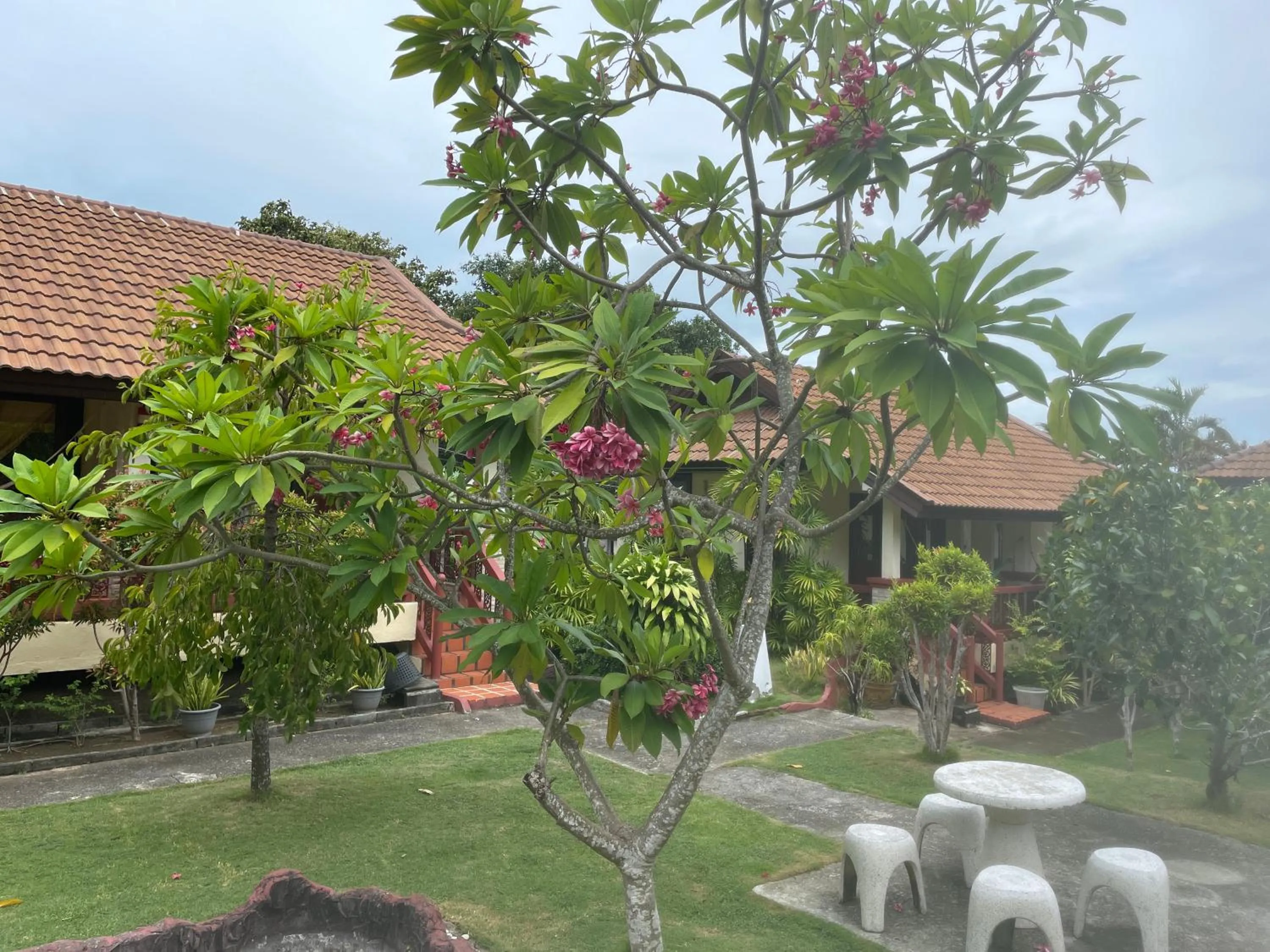 Garden view in Starlight Haadrin Resort