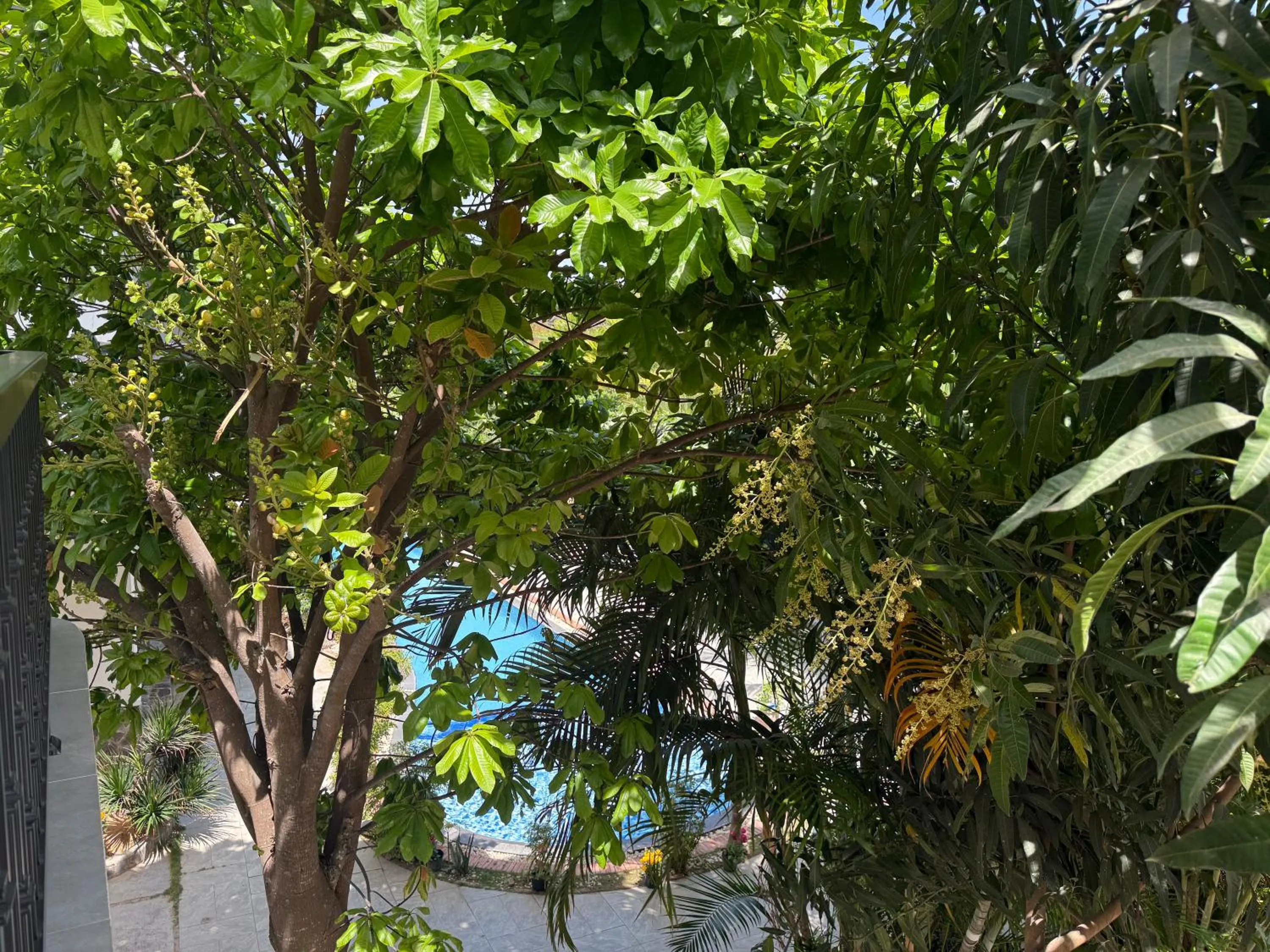 Gia An Hung Guest House