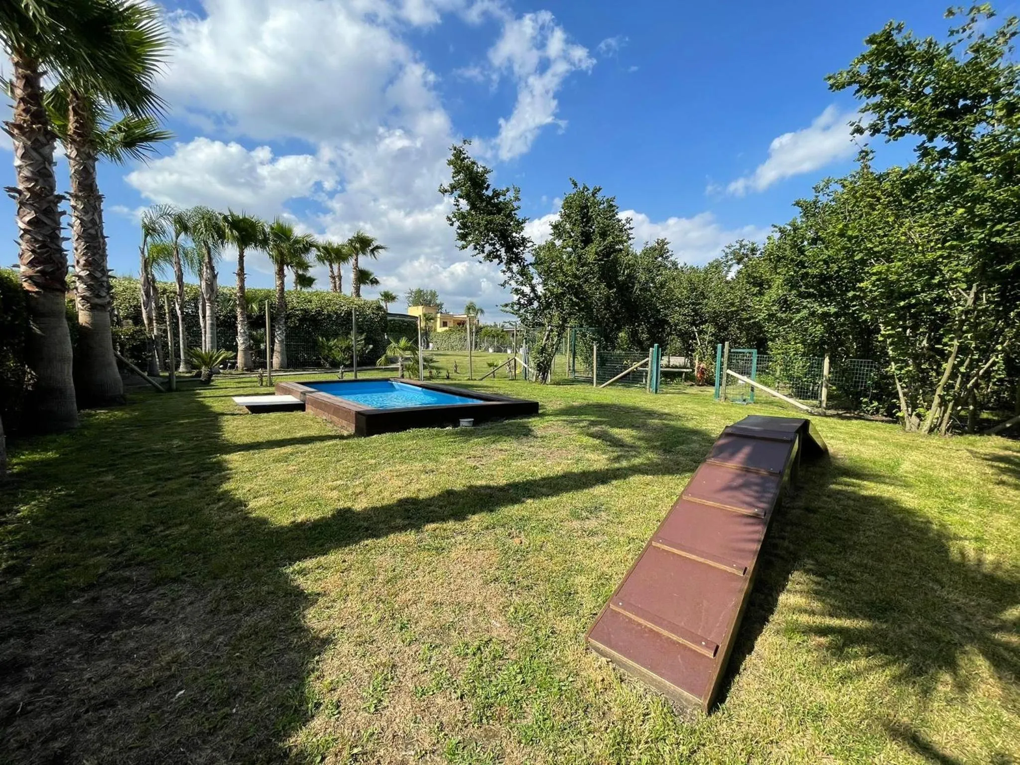 Animals in Hotel la Fenice