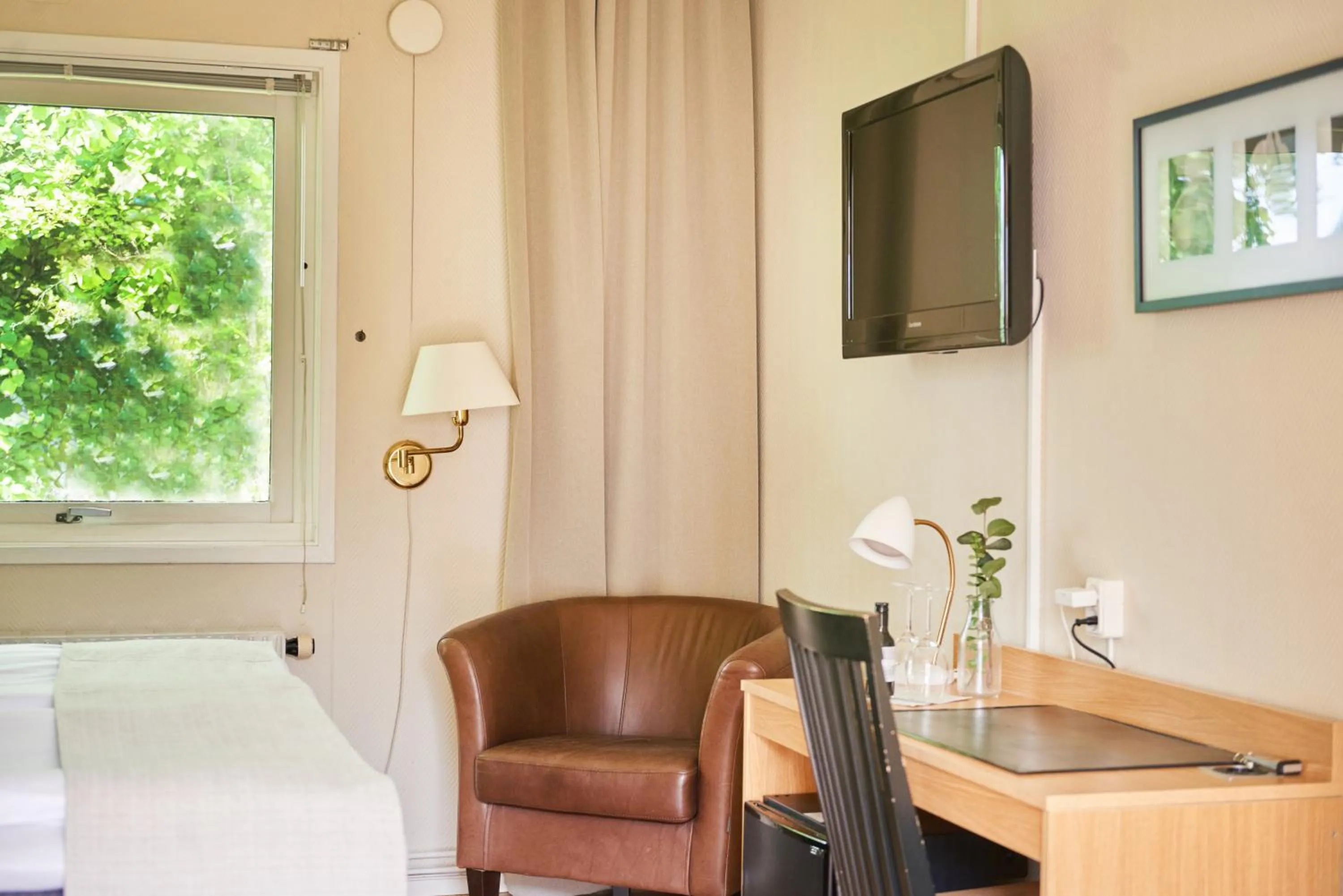 TV and multimedia in Hotell Björkhaga