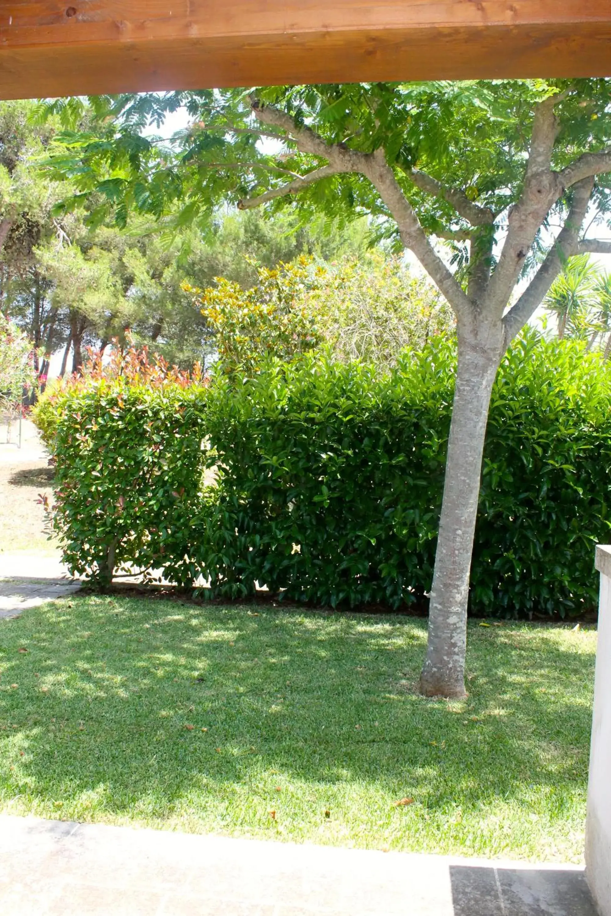 Day in Masseria Fabrizio Day in Masseria Fabrizio