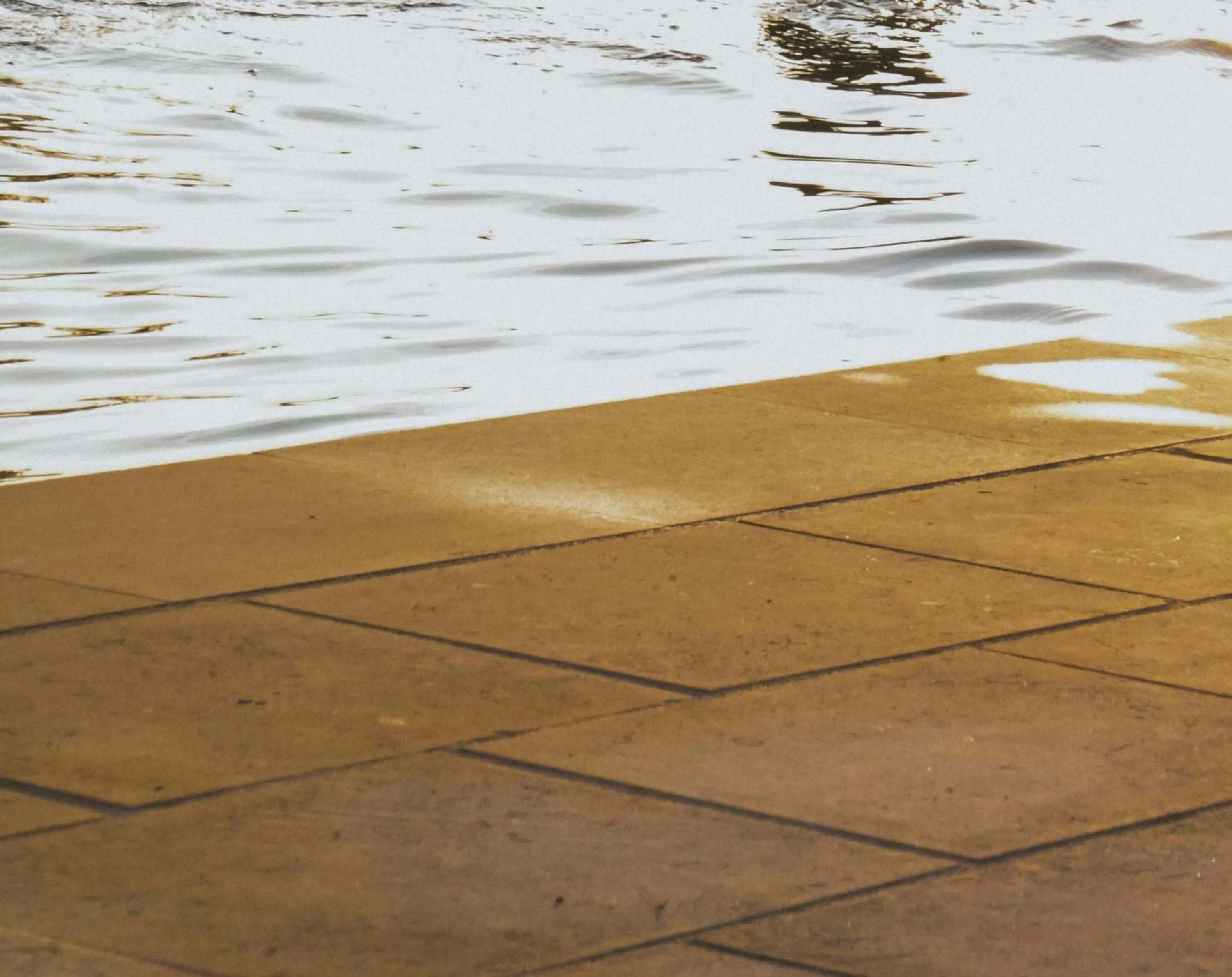 Swimming pool in Masseria Fabrizio