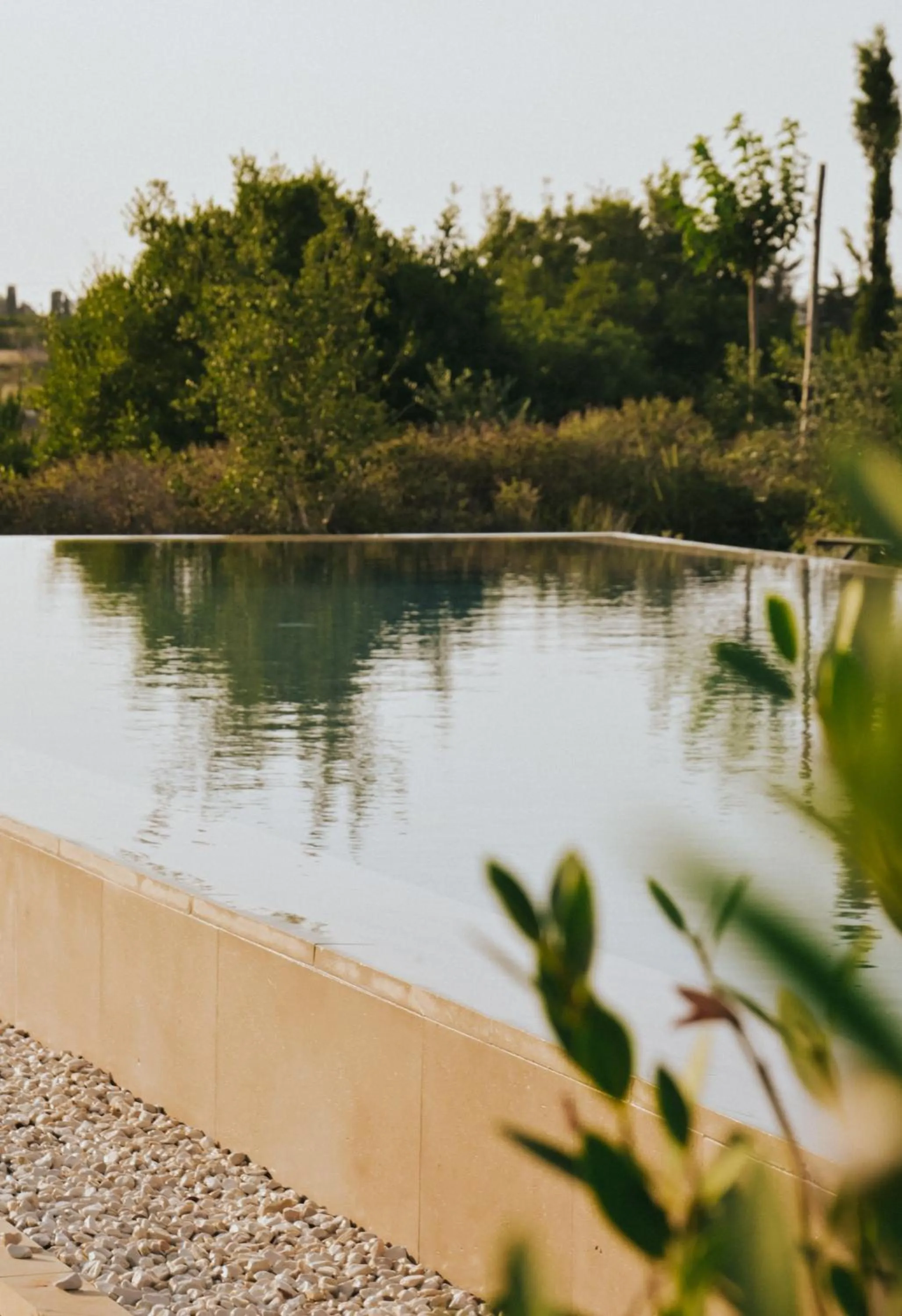 Swimming pool in Masseria Fabrizio