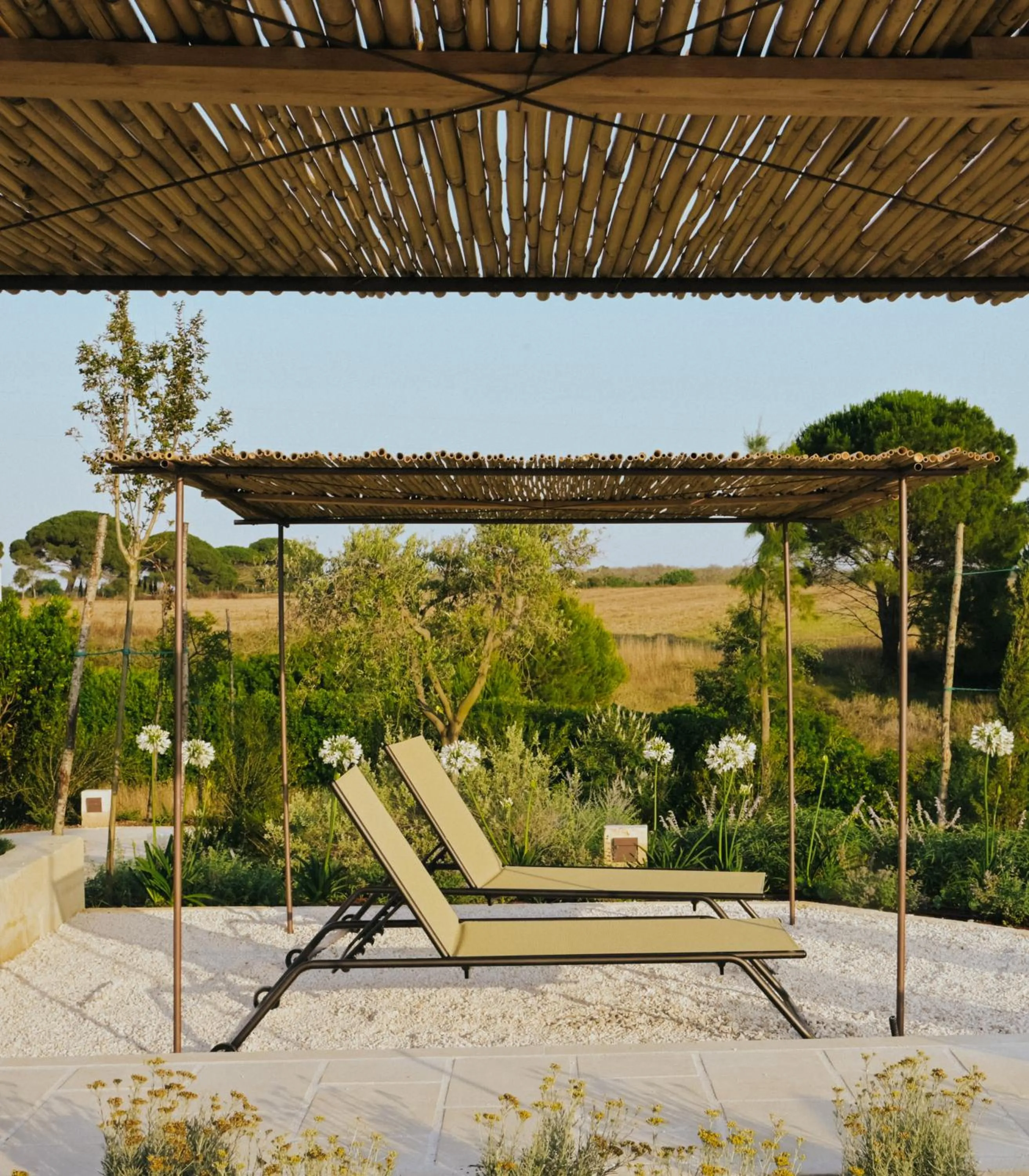 Swimming pool in Masseria Fabrizio