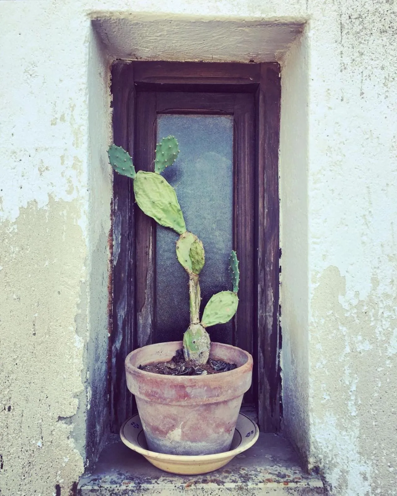 Decorative detail in Masseria Fabrizio