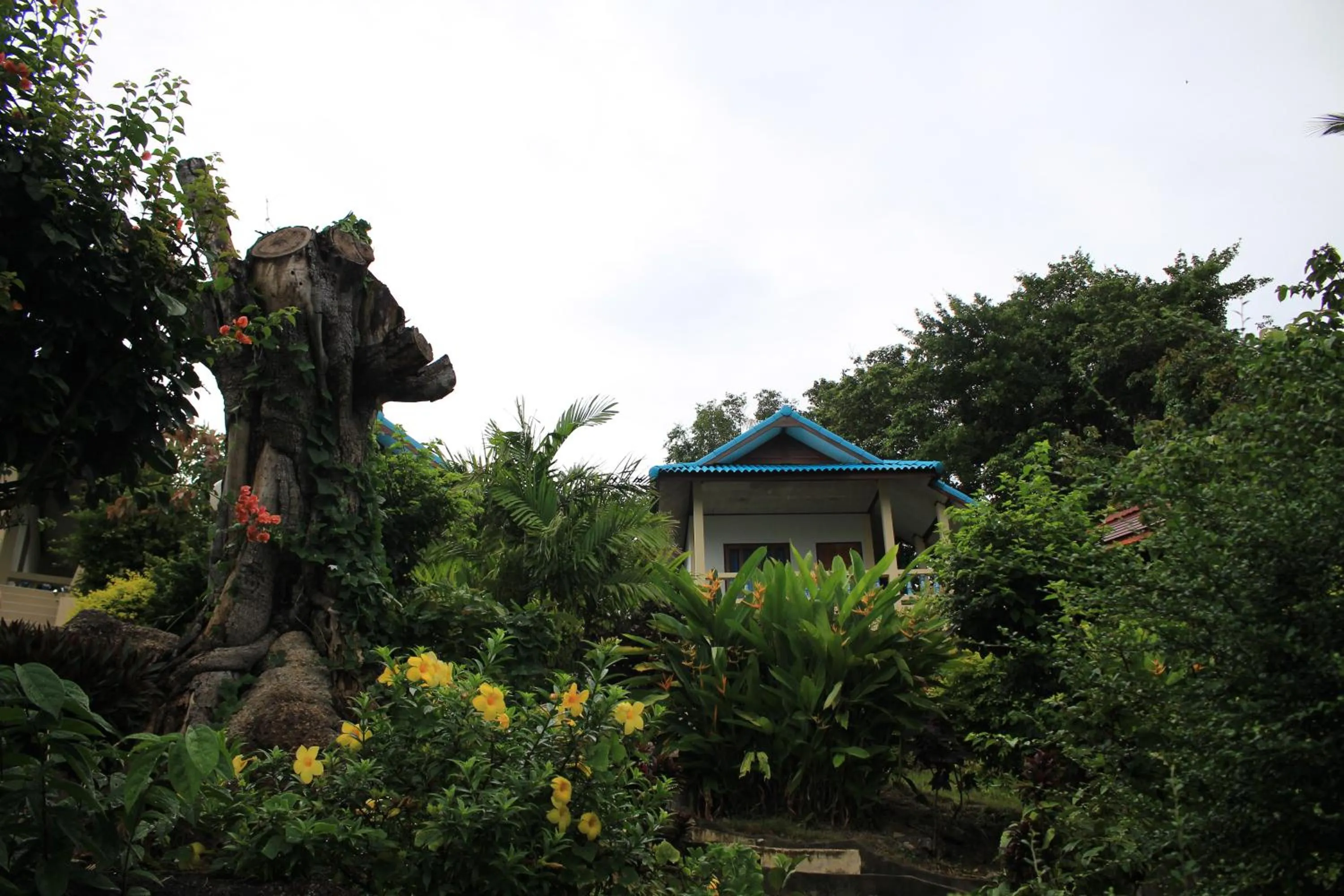 Garden in Dragon Hut Resort