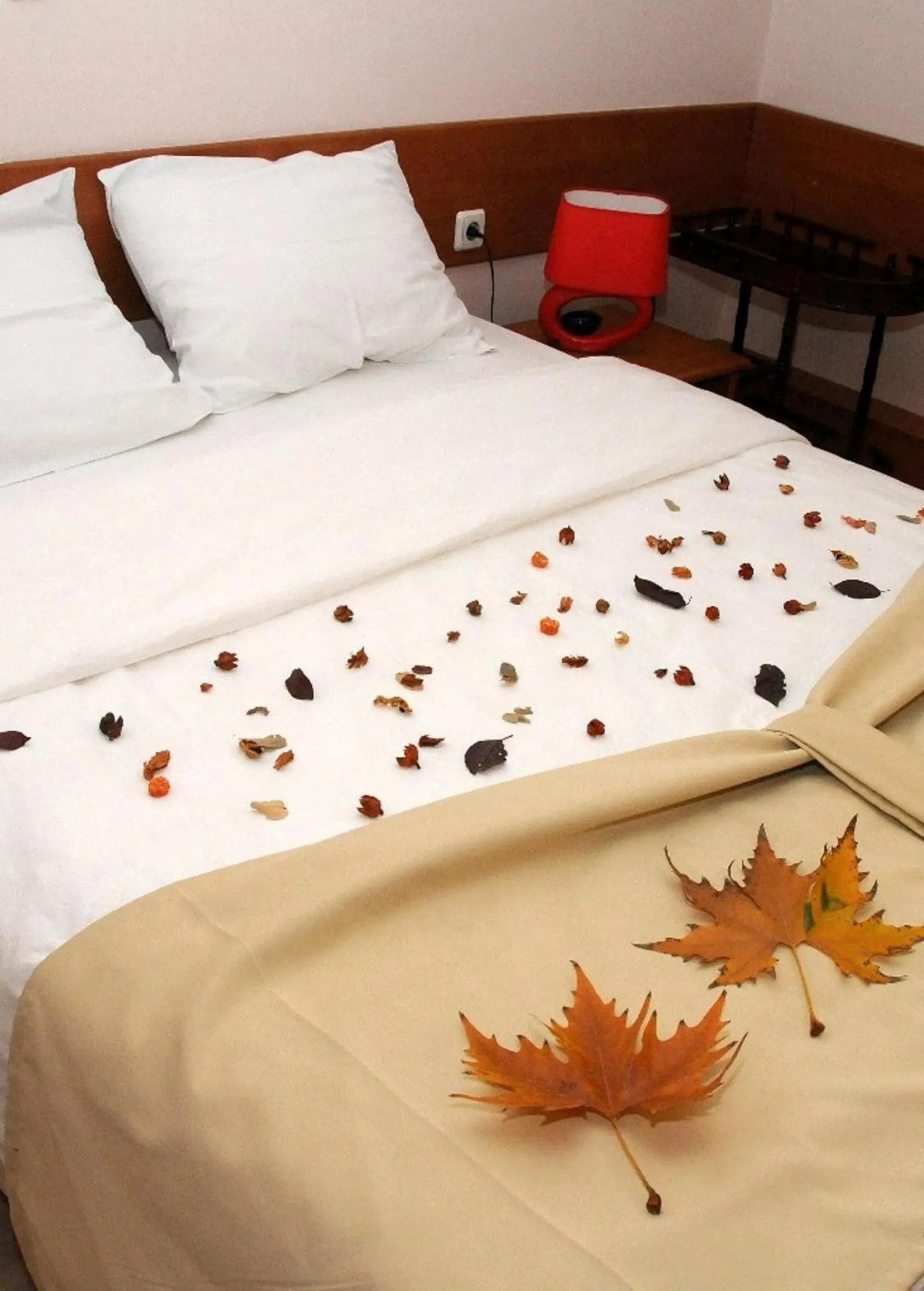 Bed in Hotel Tomce Sofka