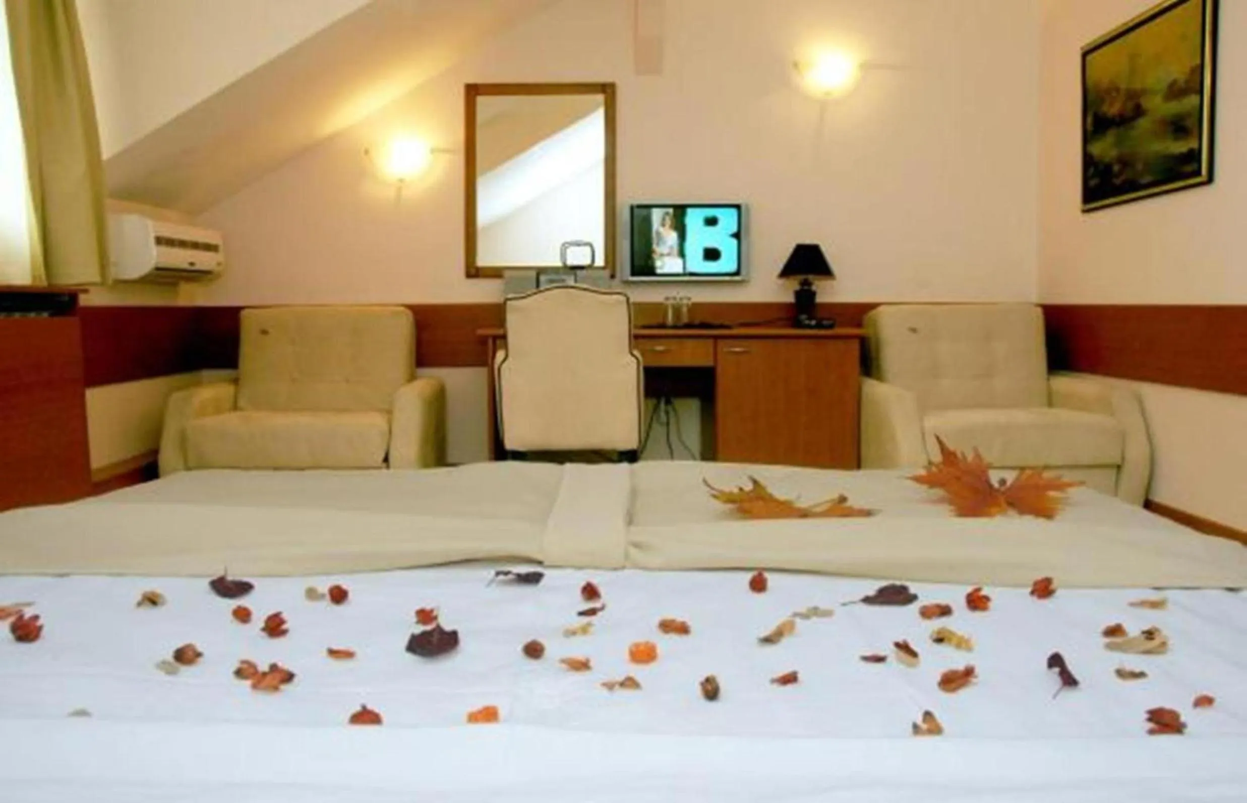 Bed in Hotel Tomce Sofka