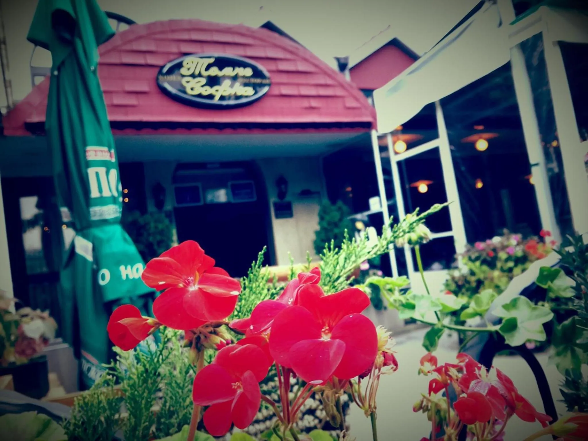 Facade/entrance in Hotel Tomce Sofka