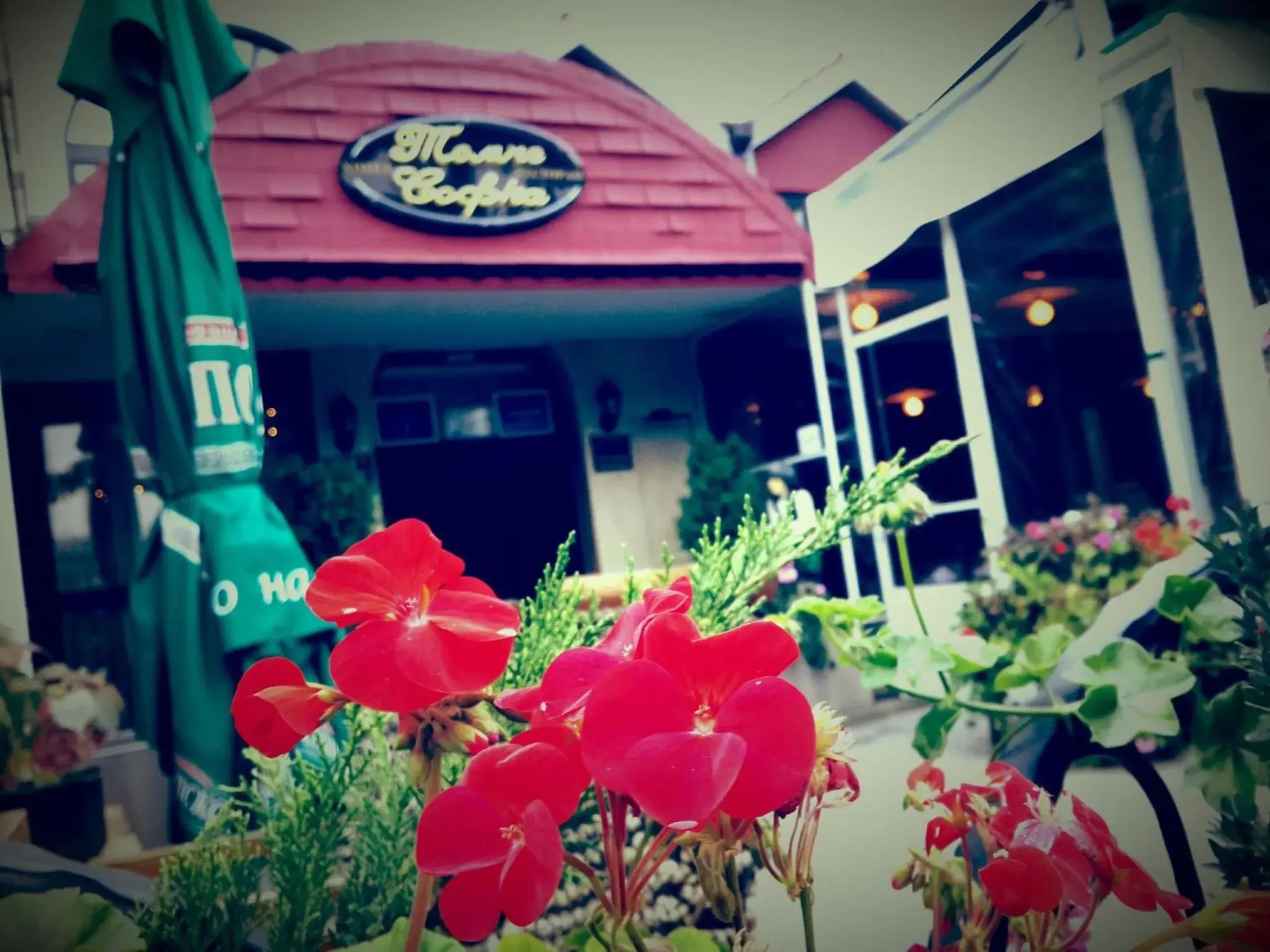 Facade/entrance in Hotel Tomce Sofka Facade/entrance in Hotel Tomce Sofka