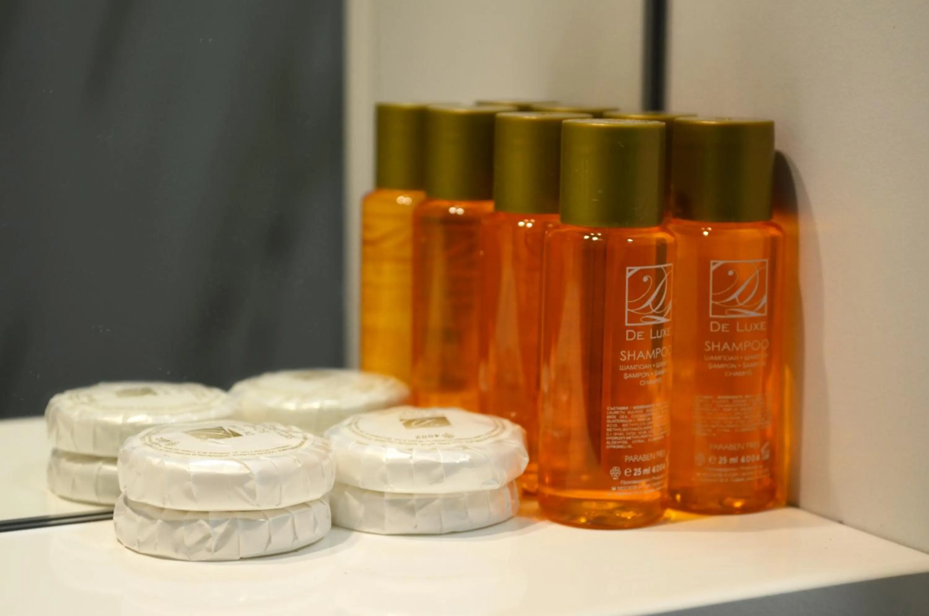 Toilet in Hotel Tomce Sofka