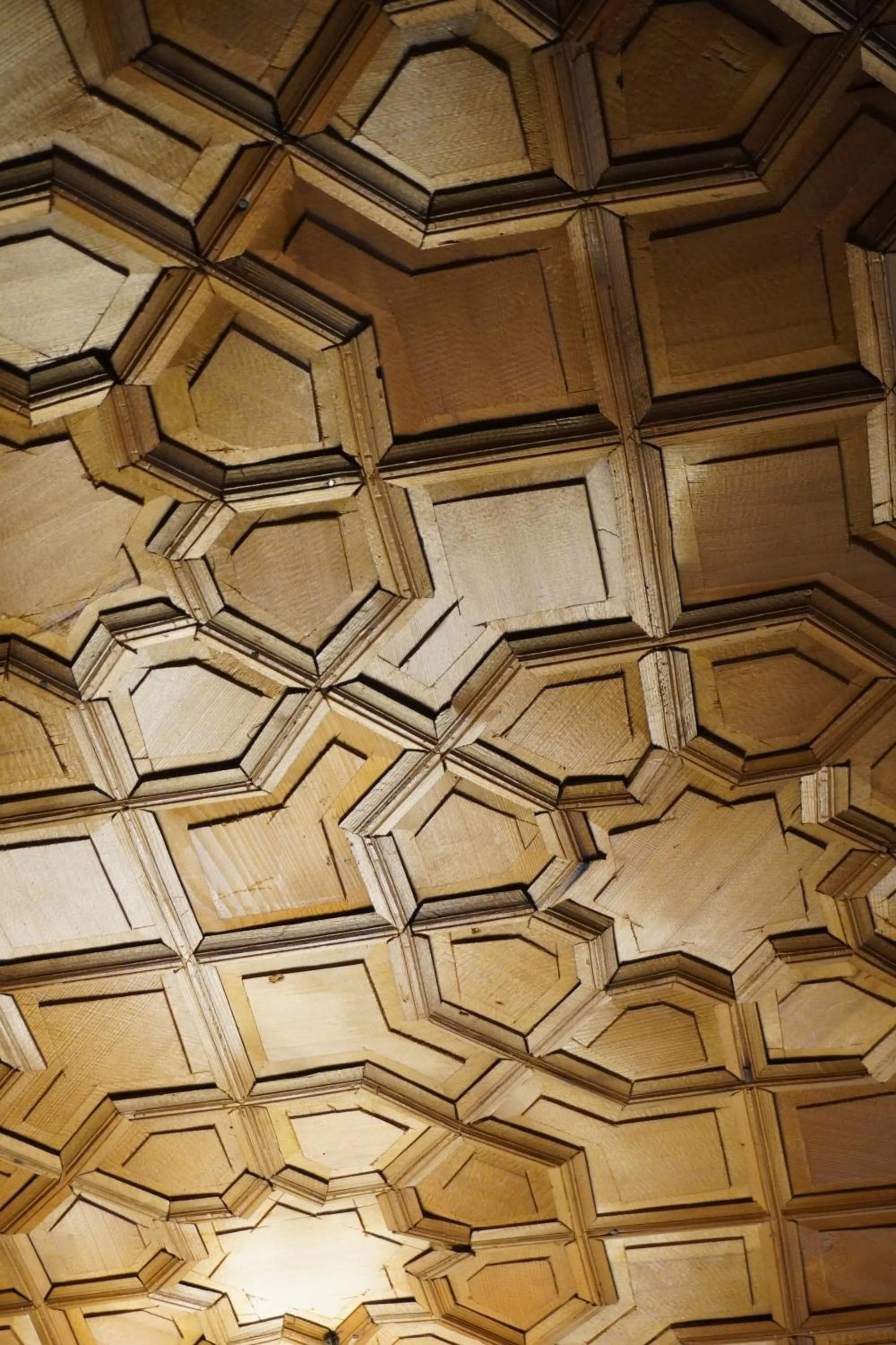 Property building in Swan Group of Houseboats, Golden Dal Lake