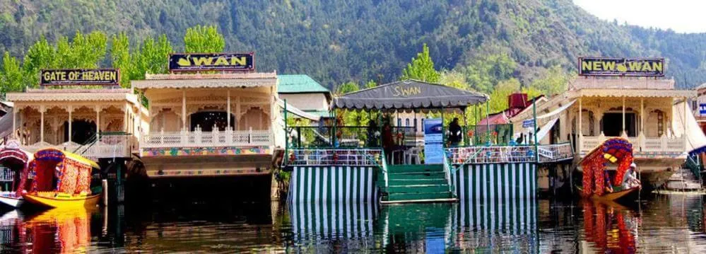 Lake view in Swan Group of Houseboats, Golden Dal Lake