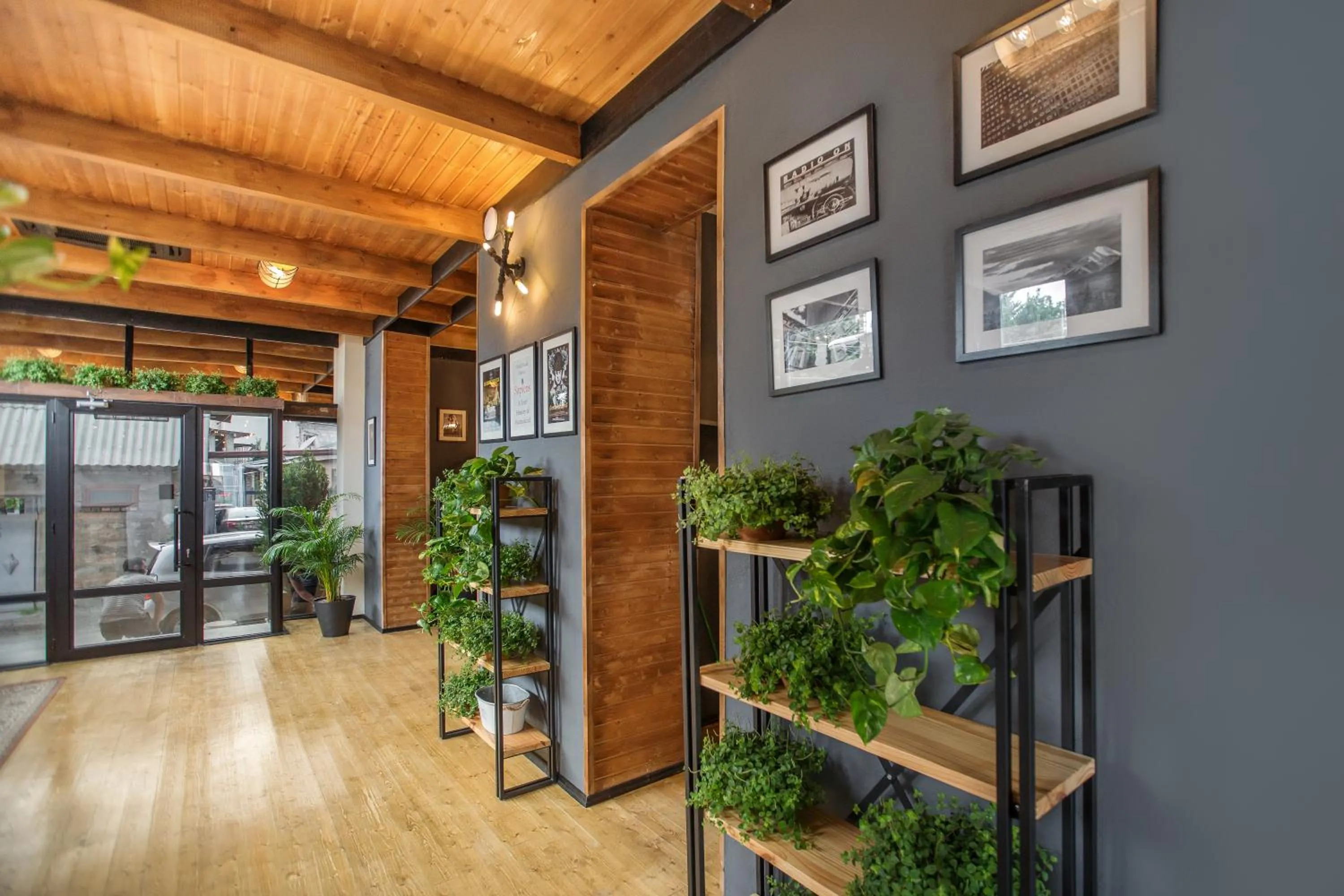 Lobby or reception in Timber Boutique Hotel